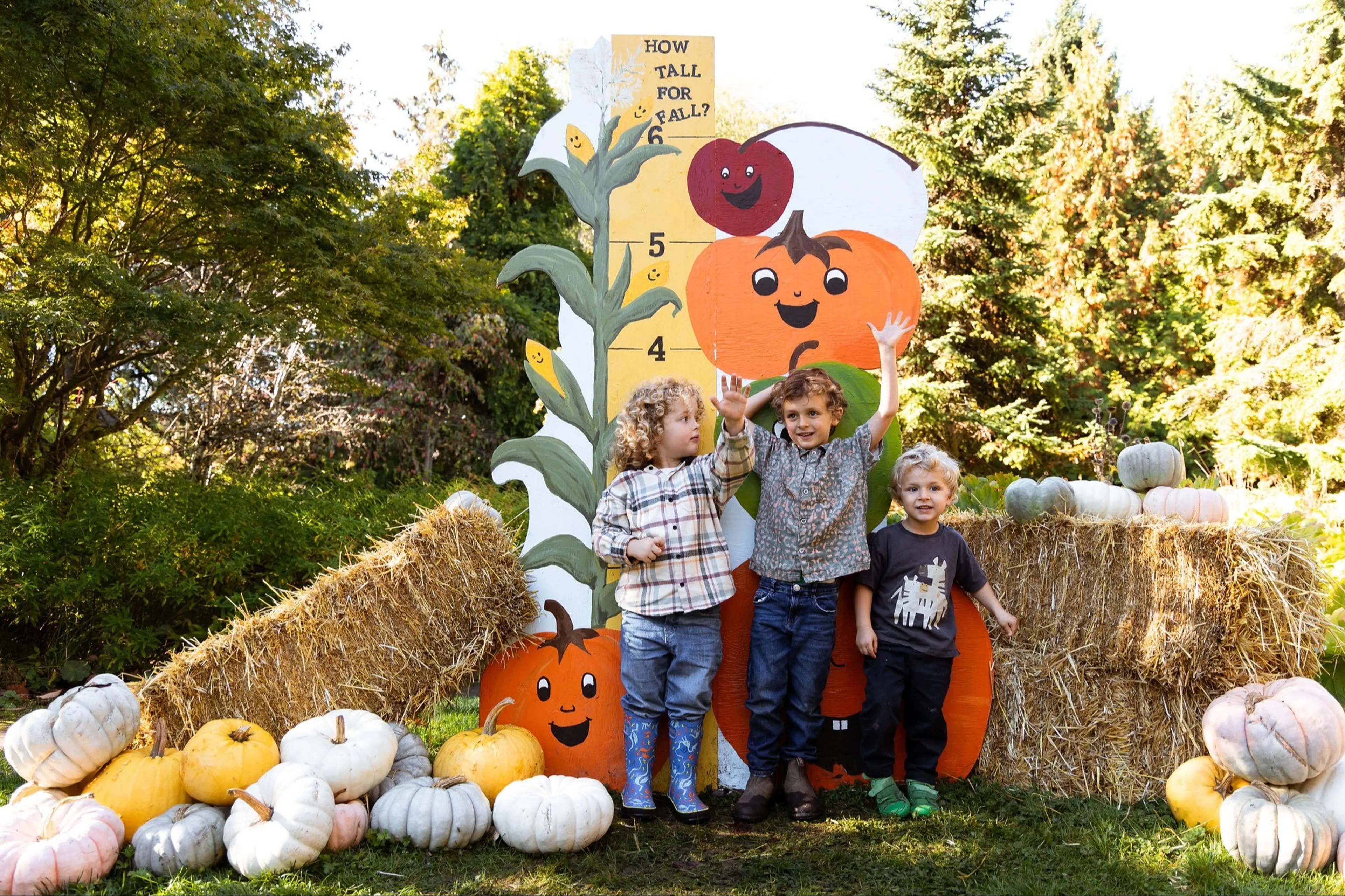 Three children standing in front of a fall-themed height chart with pumpkins and hay bales around them.
