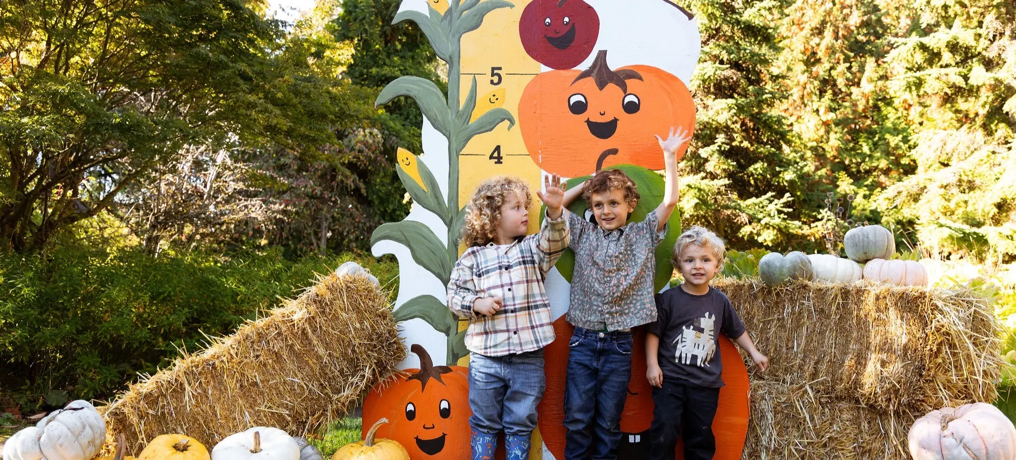 Three children standing in front of a fall-themed height chart with pumpkins and hay bales around them.