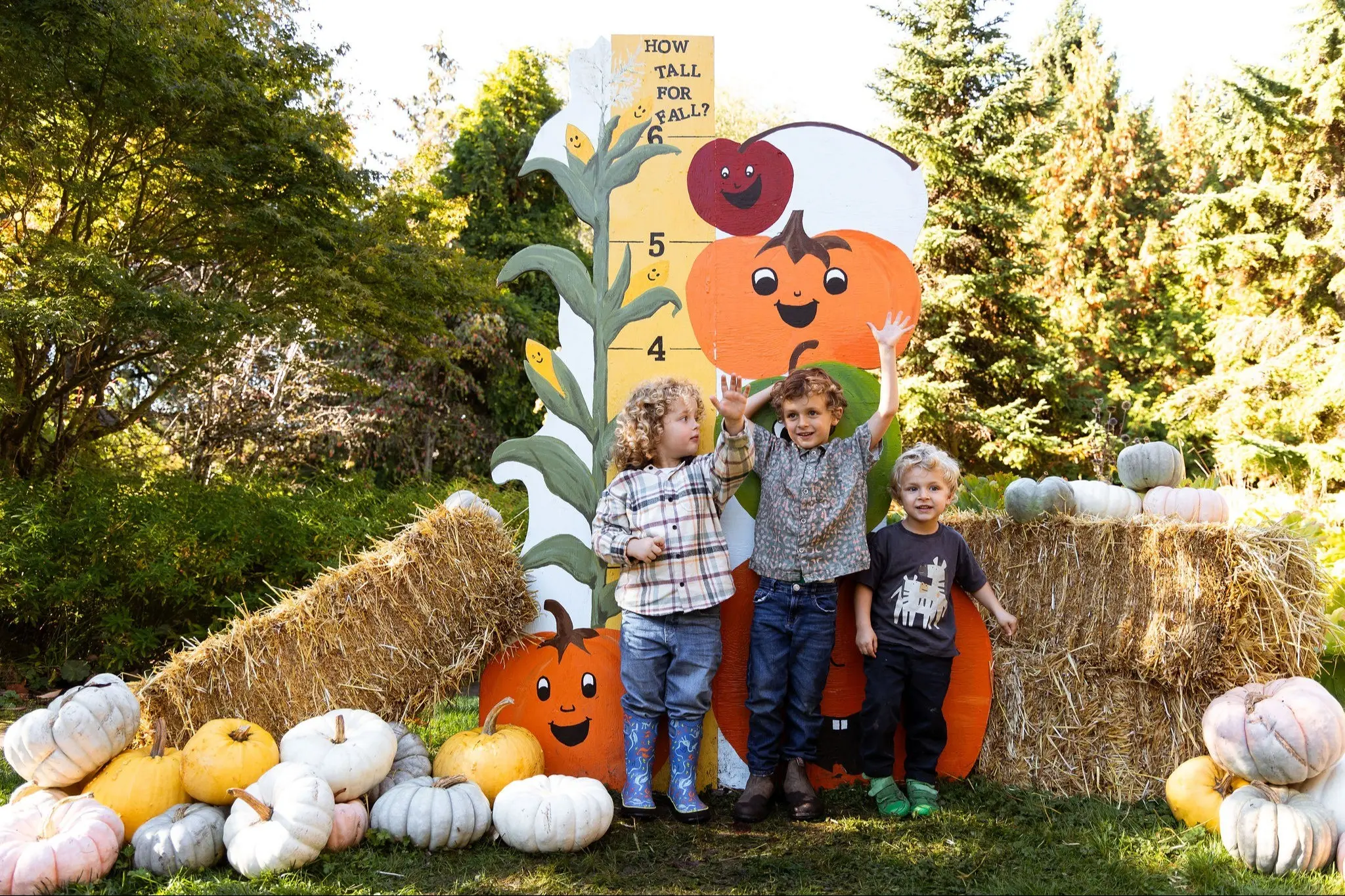 Three children standing in front of a fall-themed height chart with pumpkins and hay bales around them.