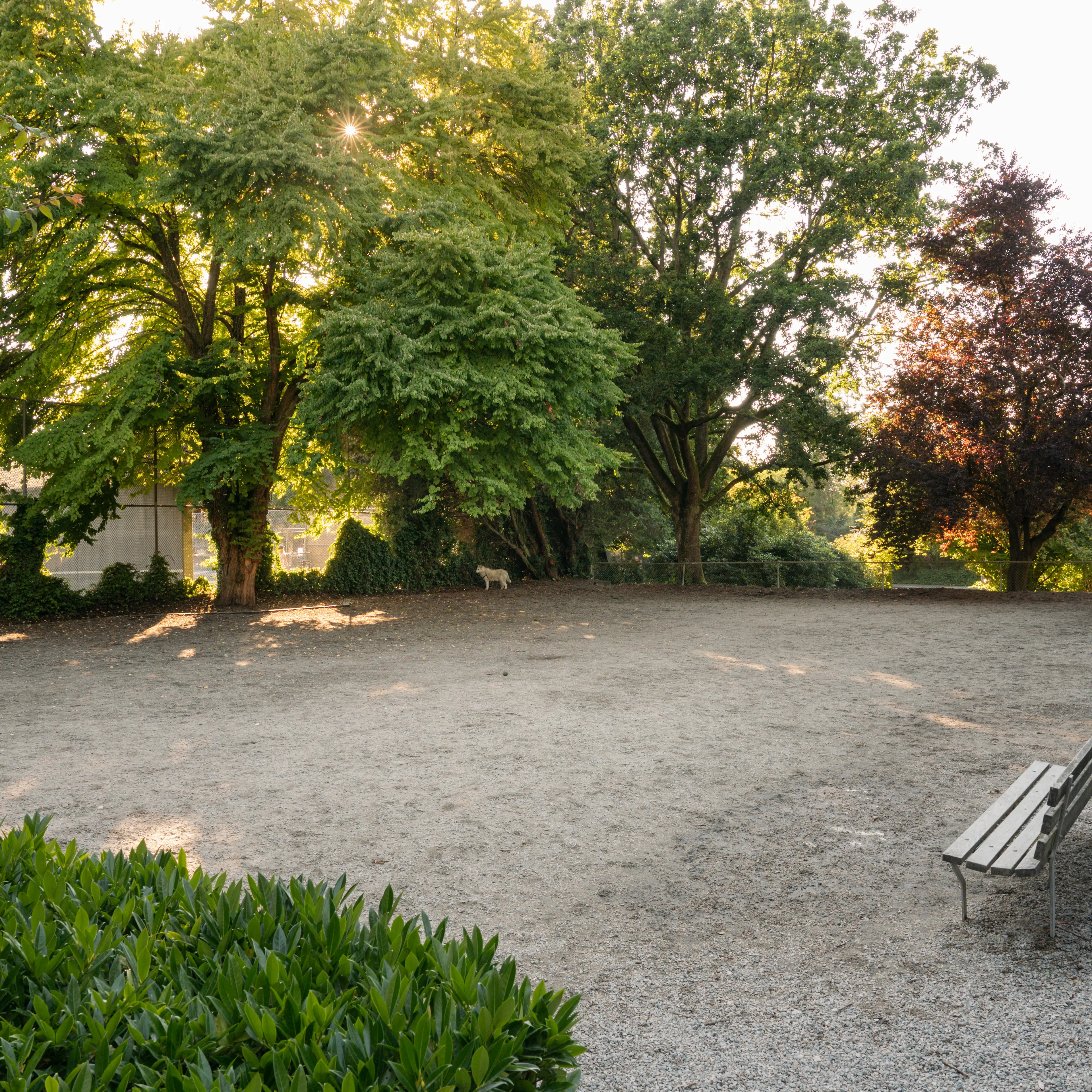 Stanley Park Dog park