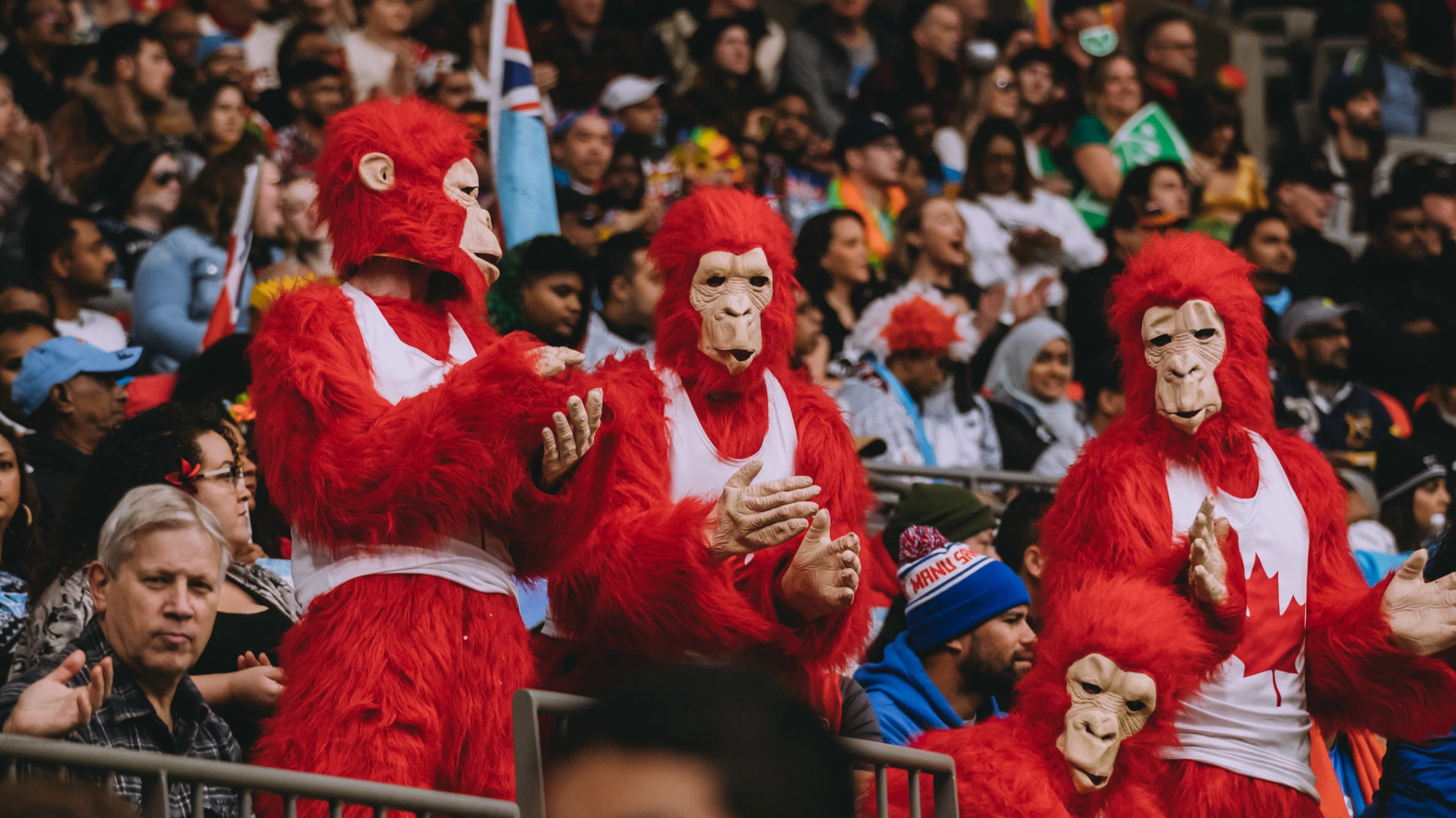 w-2499h-1406-cb9944-Canada monkeys