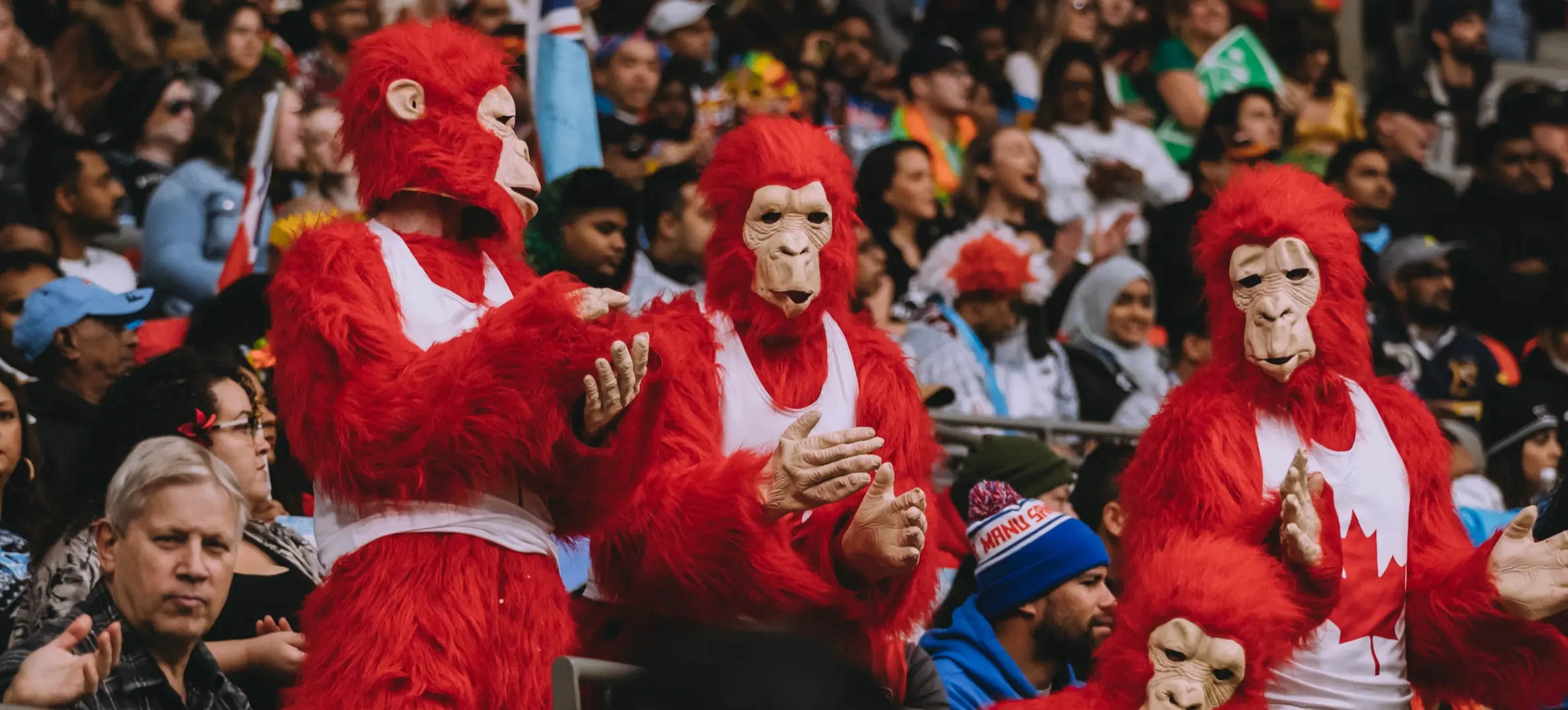 w-2499h-1406-cb9944-Canada monkeys