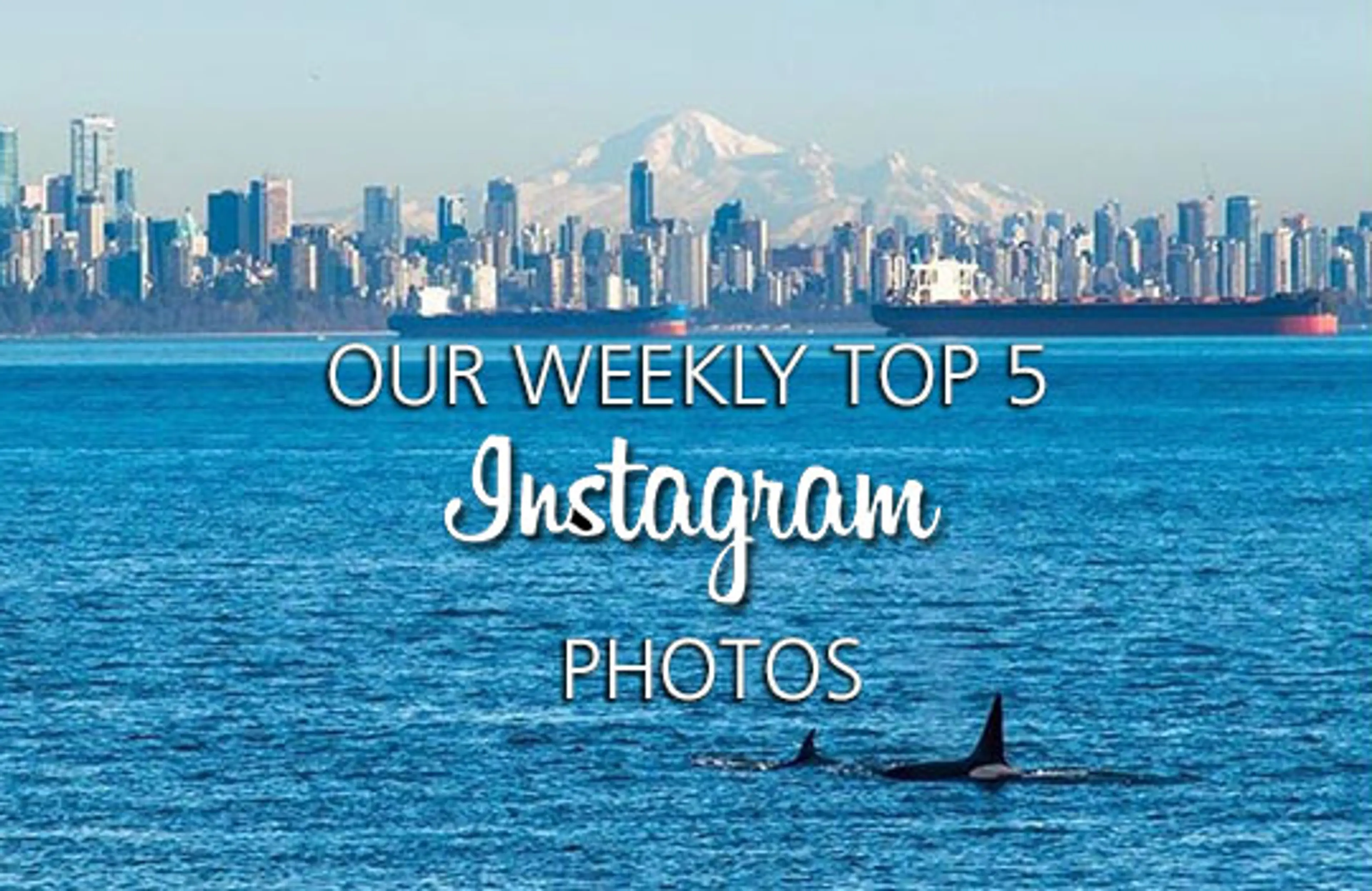 This Week’s Top 5 Instagram Photos of Vancouver – Feb. 24, 2017