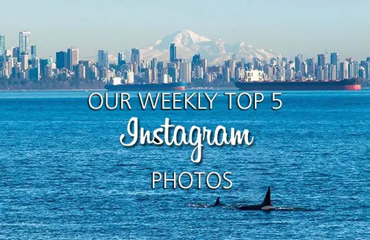 This Week’s Top 5 Instagram Photos of Vancouver – Feb. 24, 2017