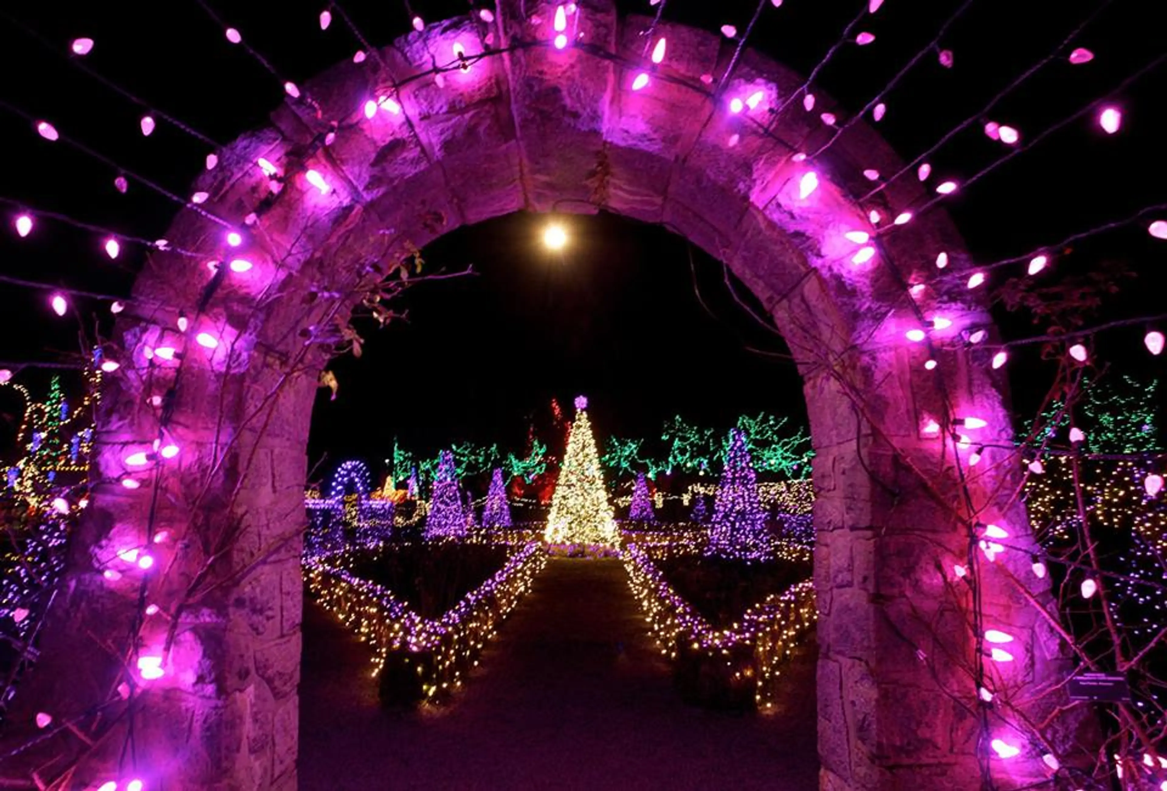 VanDusen Festival Lights