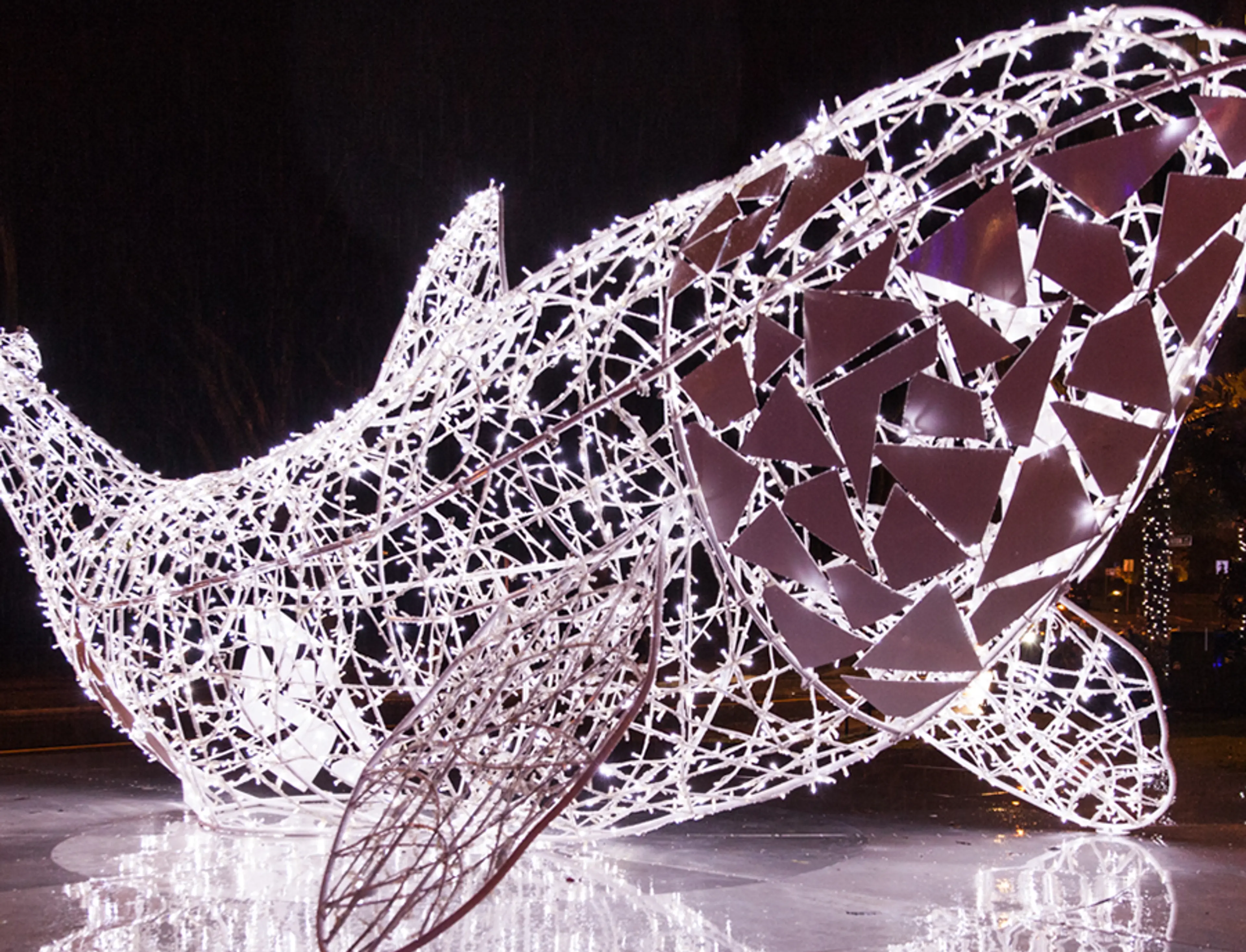 Lumiere, an annual event inspired by light and artistic expression, returns this November