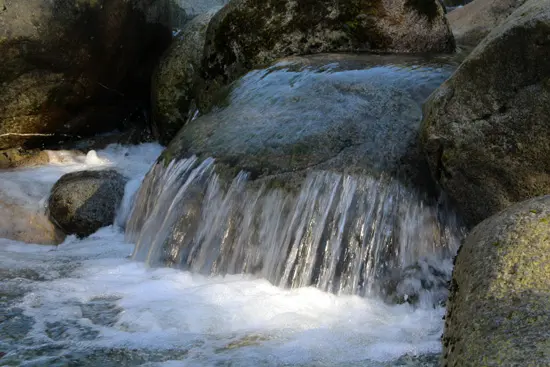 Discover-Outdoors-Lynn-Canyon4