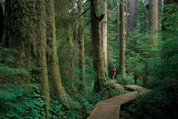 Activities to Embrace the Rain in Vancouver