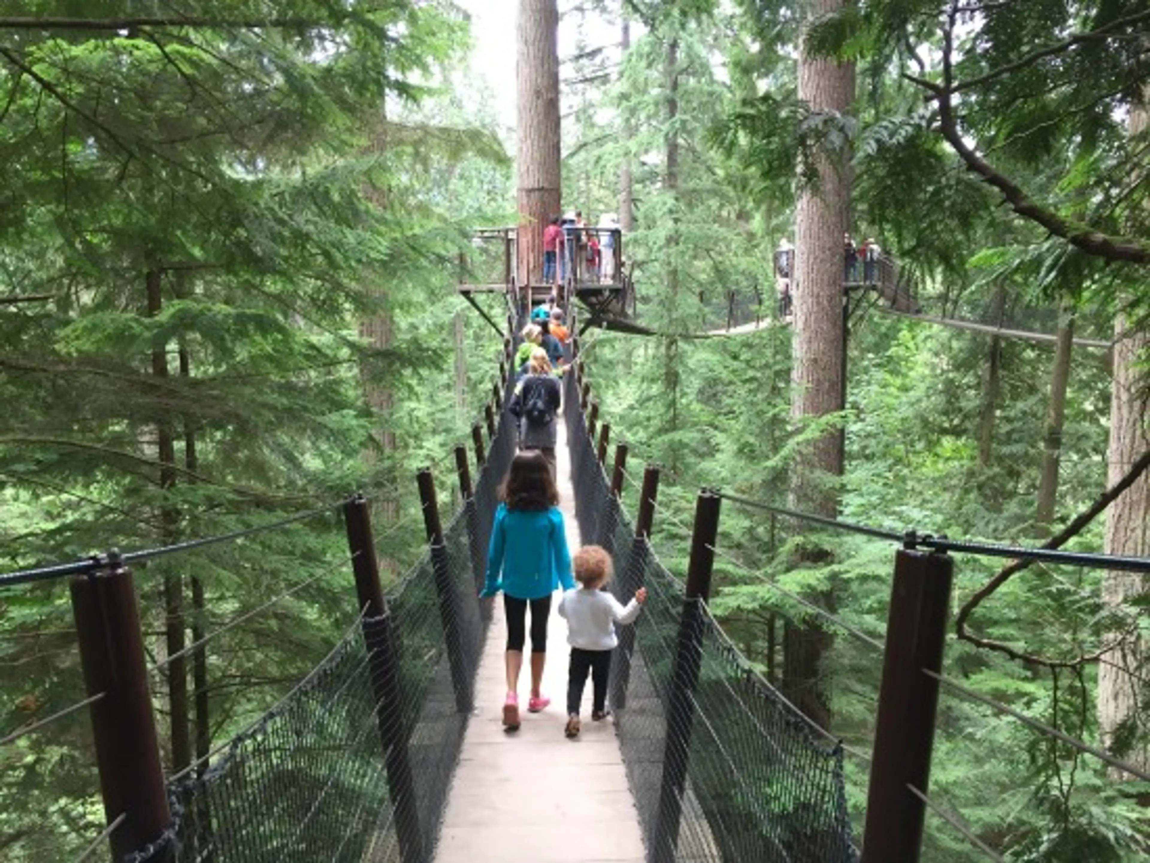 5 Things To Do At Capilano Suspension Bridge Park (Besides Cross The Bridge)