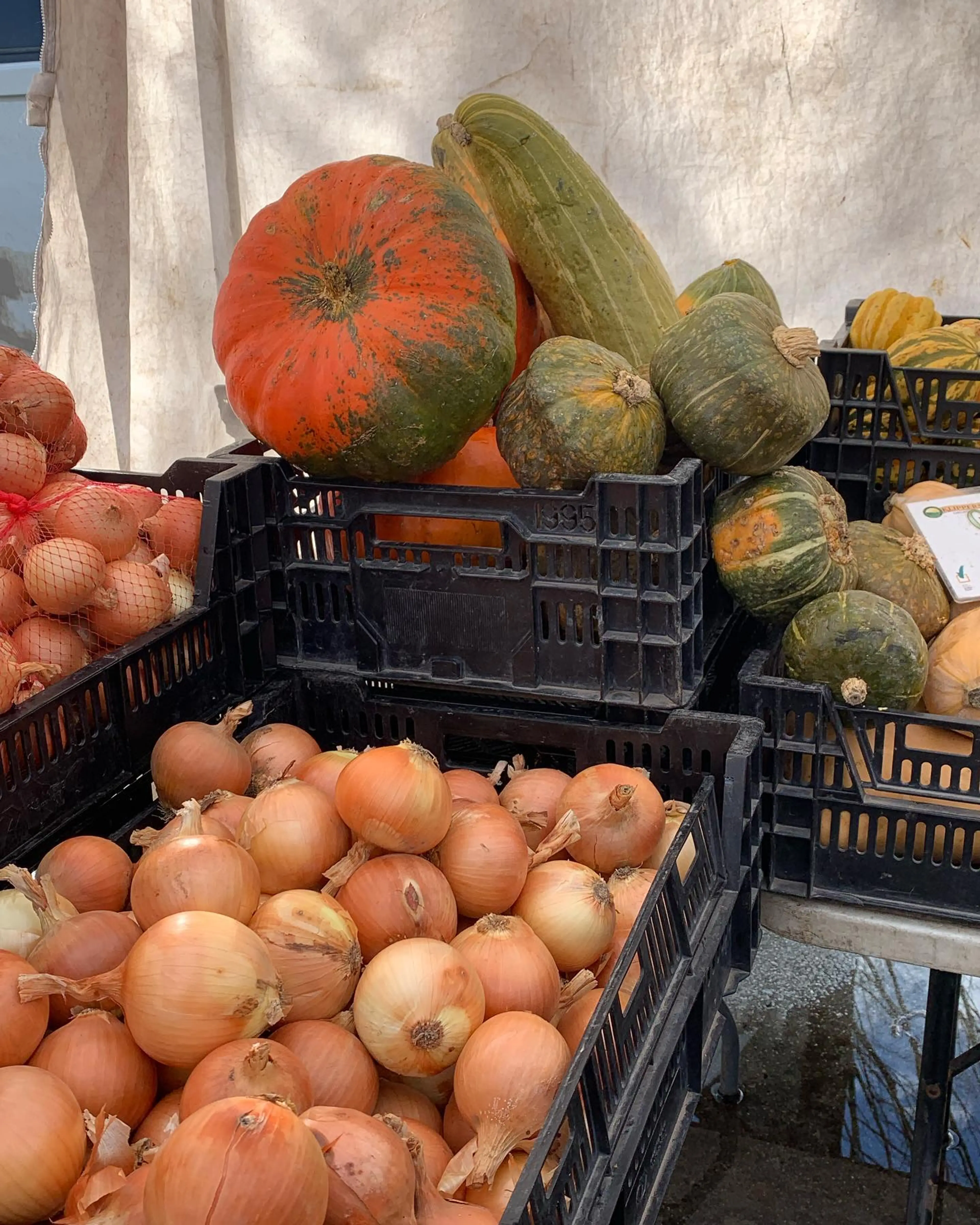 Onions and squash at the Vancouver farmers market