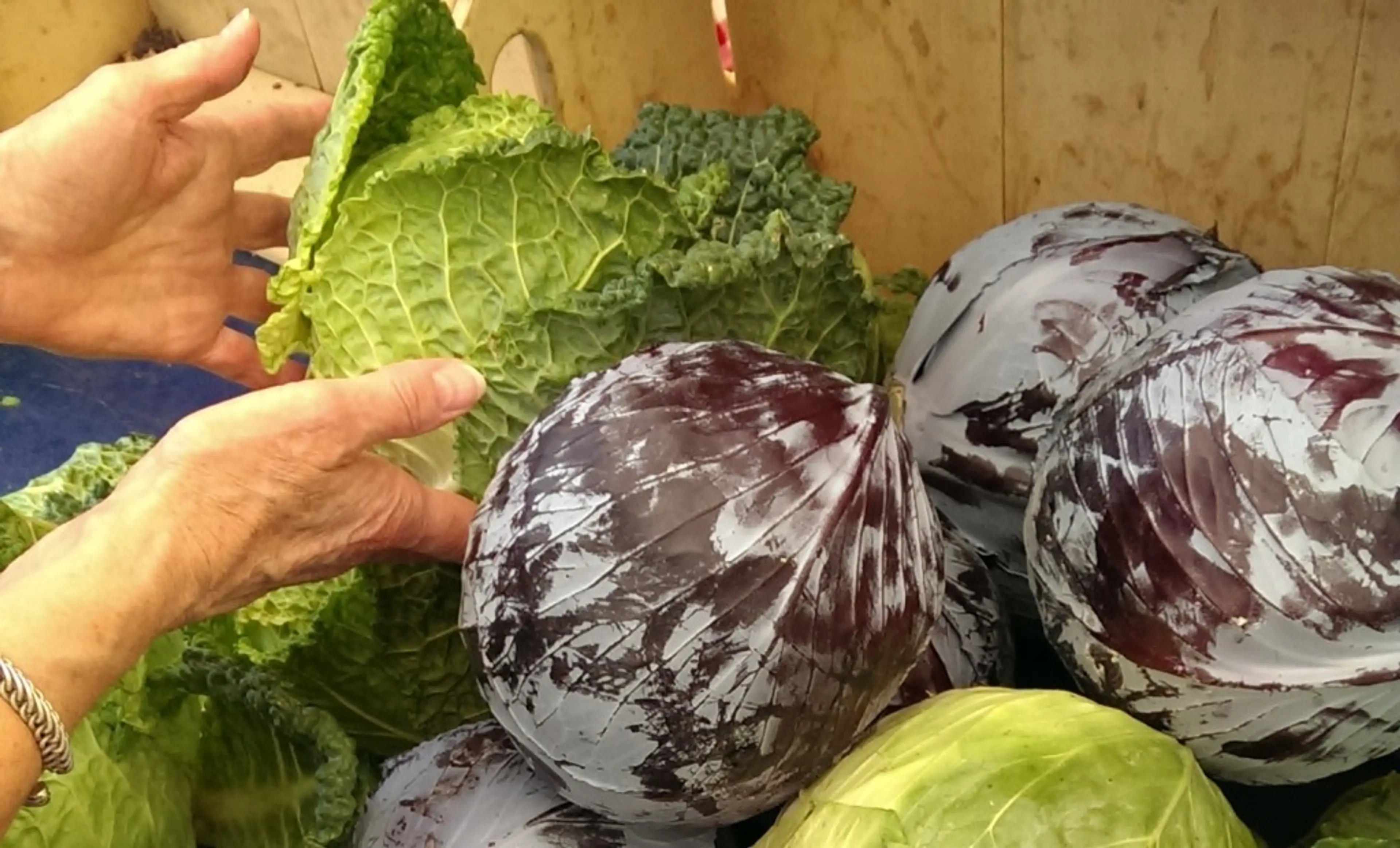 Winter Farmers Market