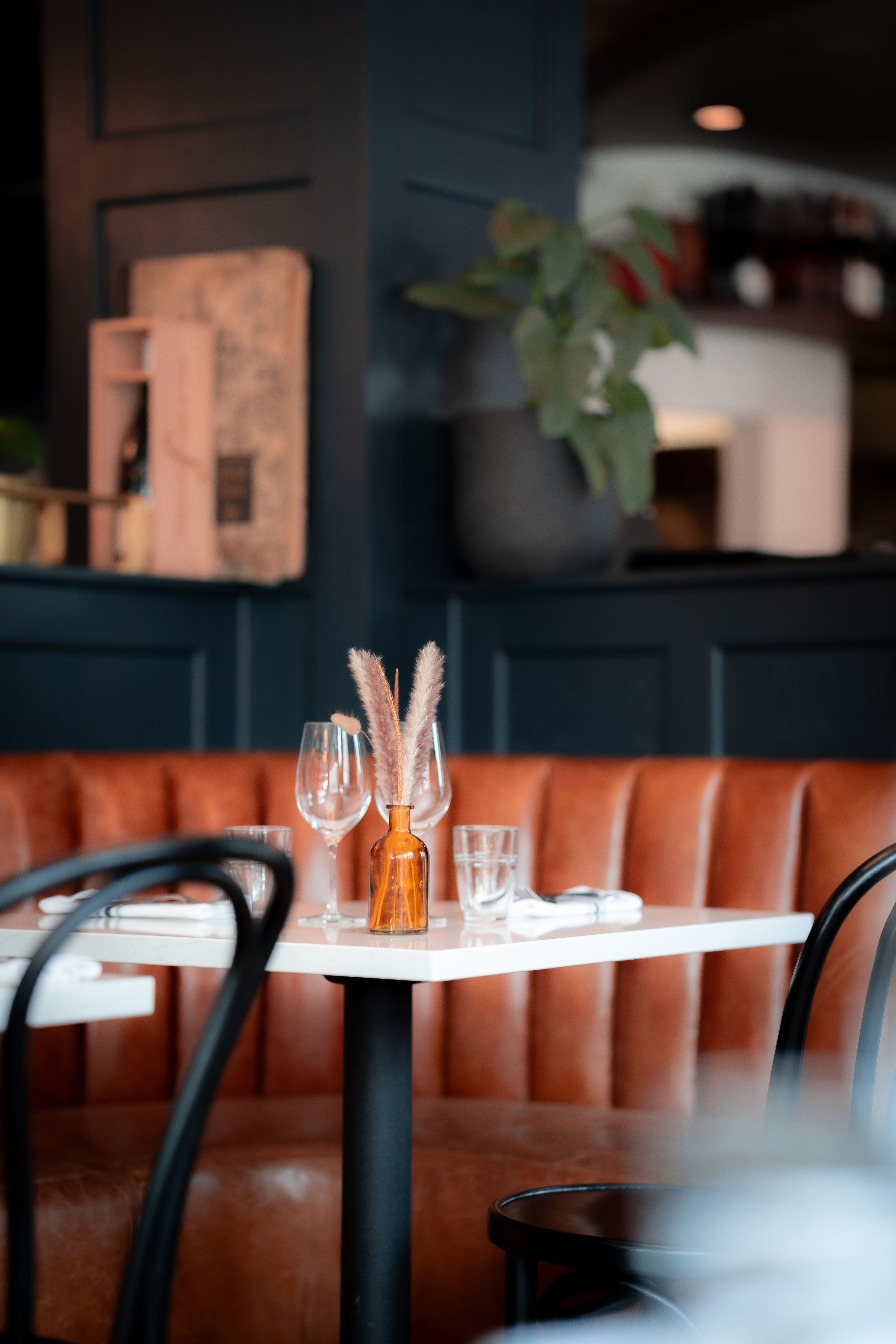 DSC02212_9A6FF03F-F3E3-417B-87CCD7A80112D7F1_98d84dc1-5c57-4695-854b9e071338bf23