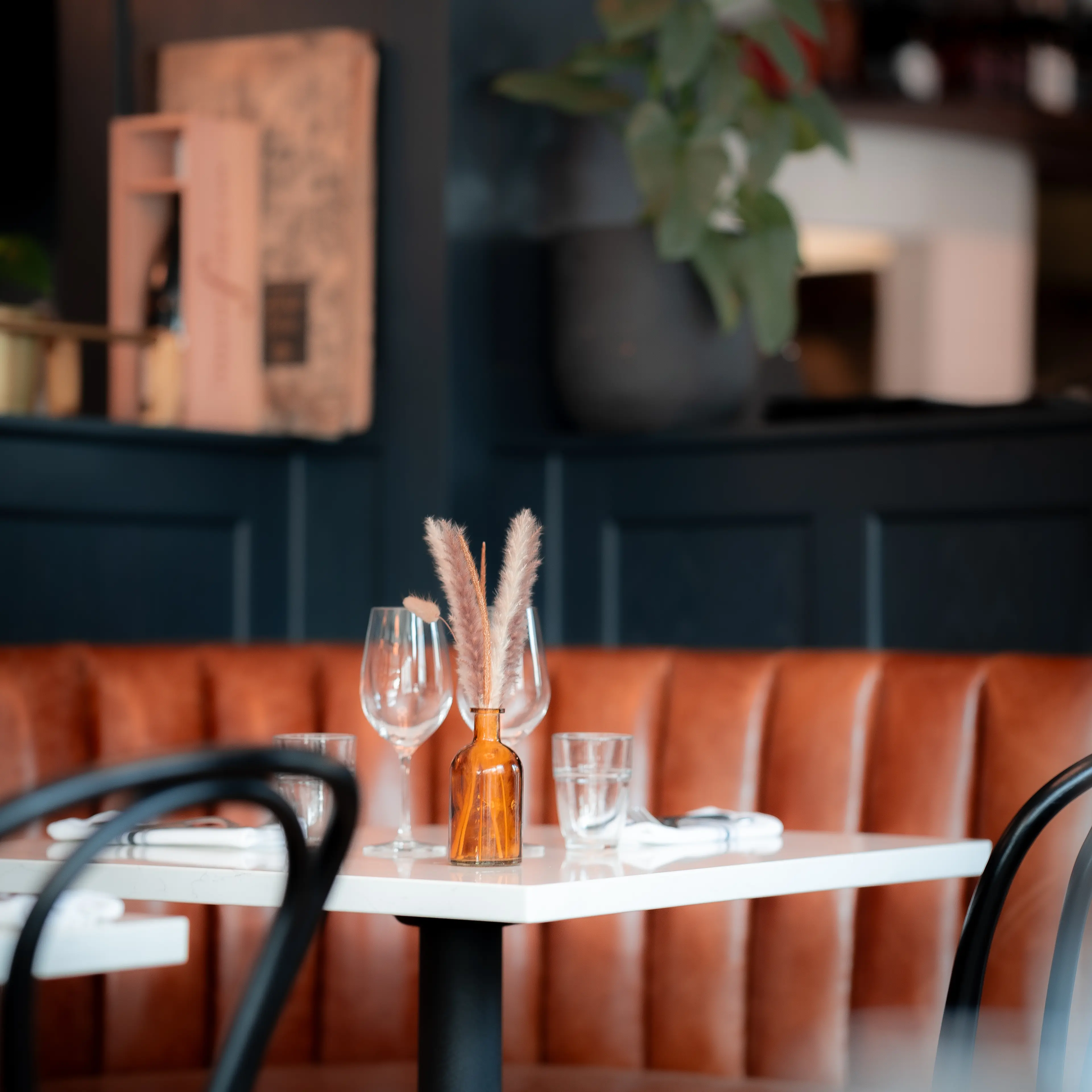 DSC02212_9A6FF03F-F3E3-417B-87CCD7A80112D7F1_98d84dc1-5c57-4695-854b9e071338bf23