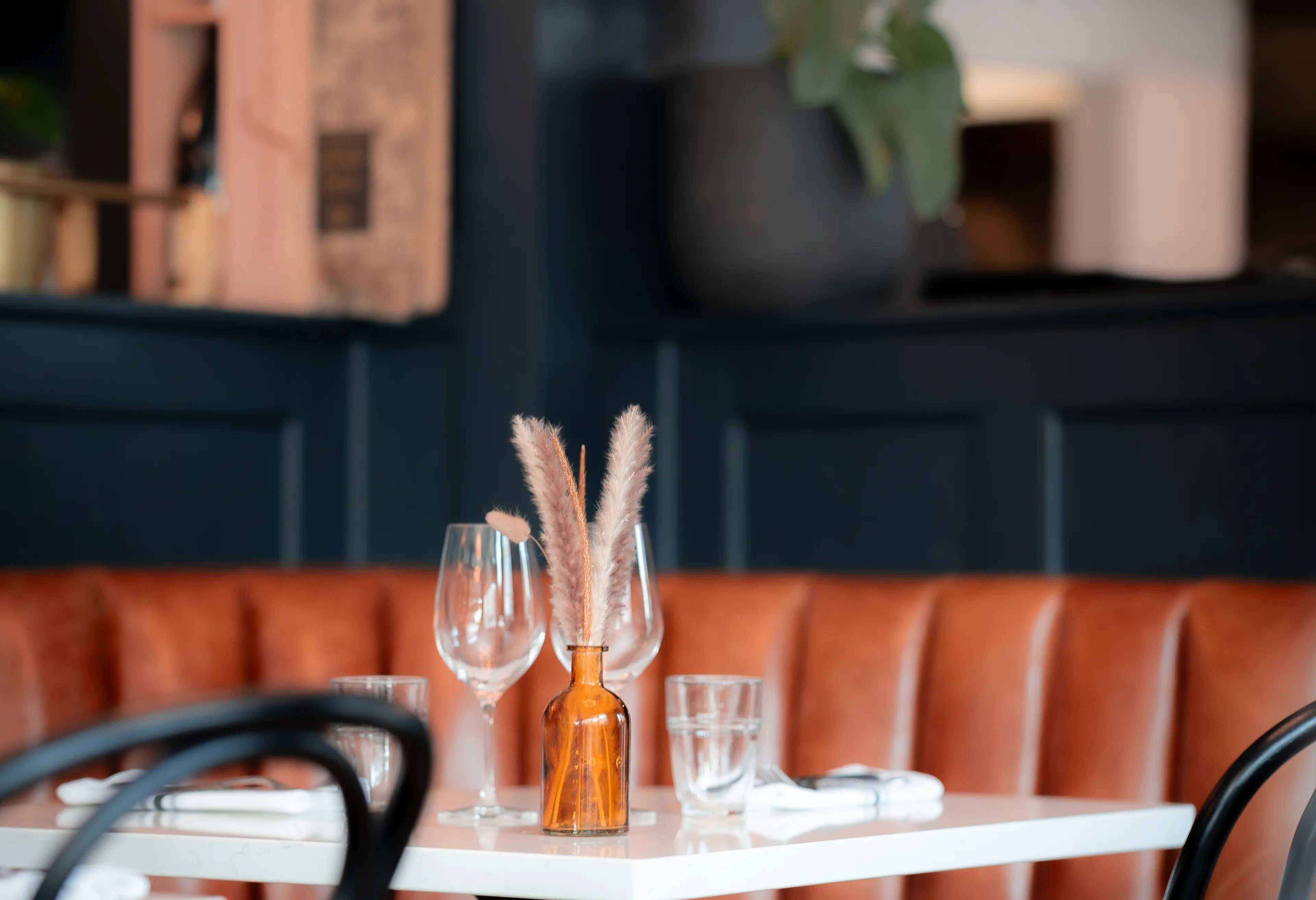 DSC02212_9A6FF03F-F3E3-417B-87CCD7A80112D7F1_98d84dc1-5c57-4695-854b9e071338bf23