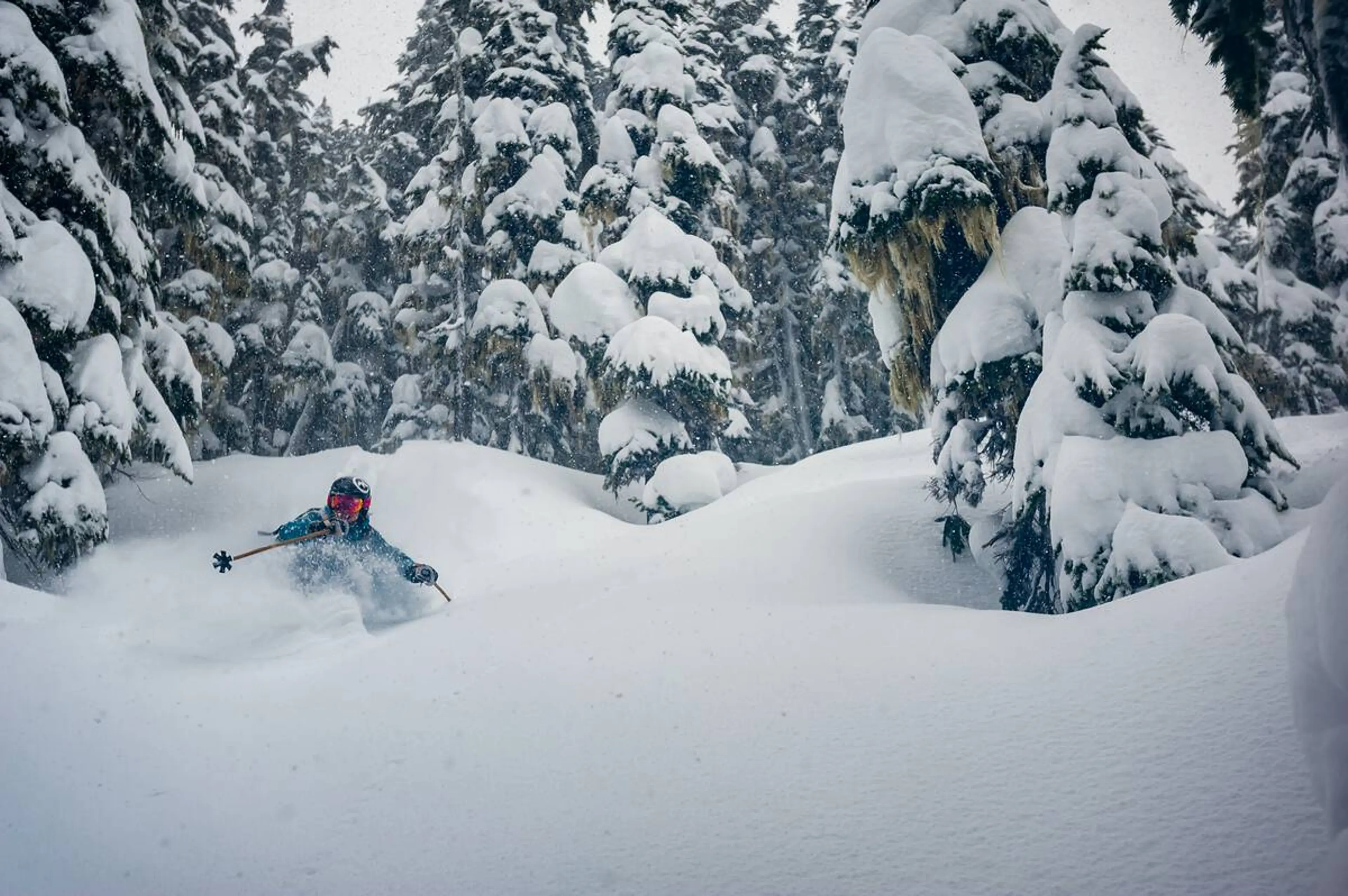 Tree skiing at Whistler Blackcomb