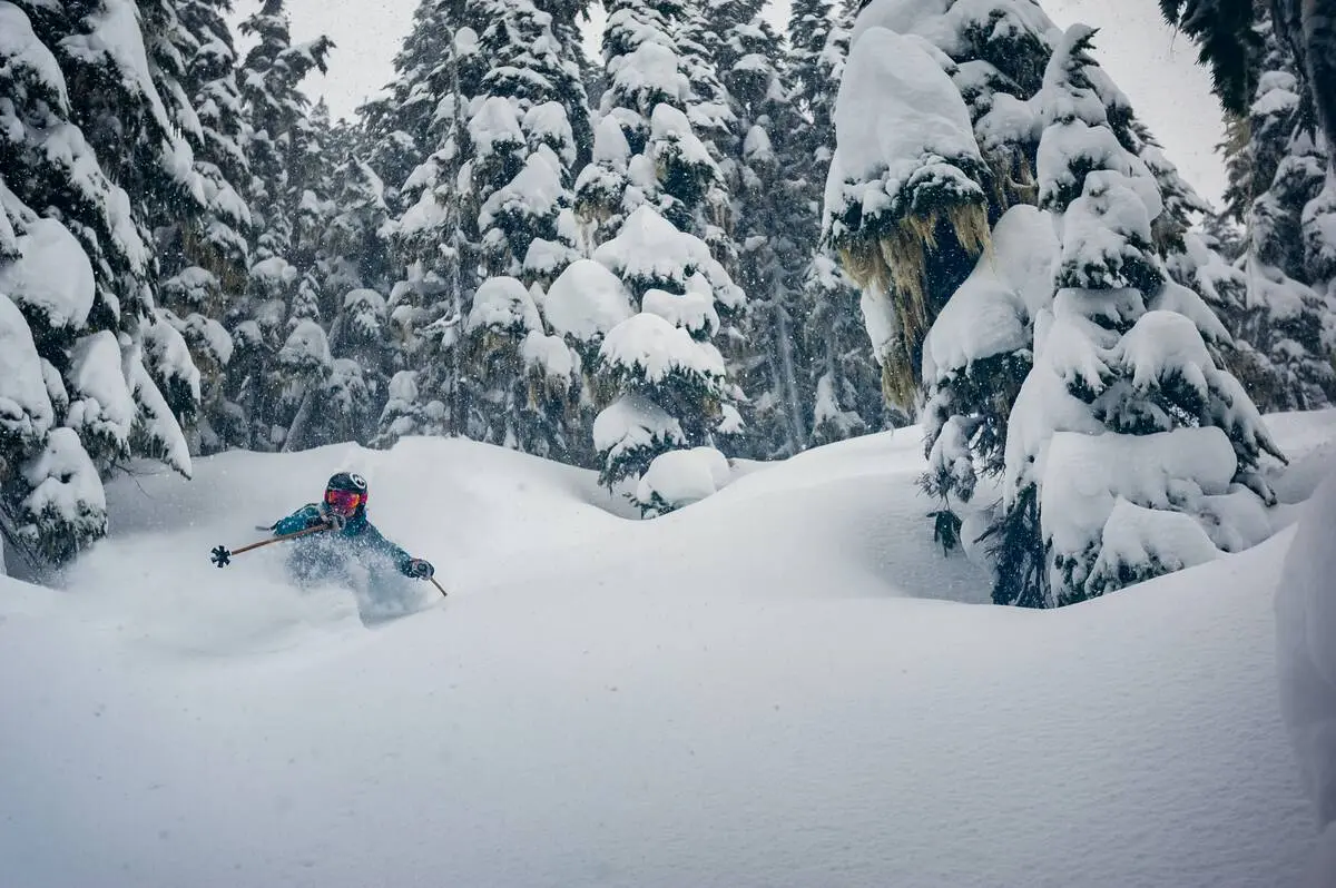 Tree skiing at Whistler Blackcomb