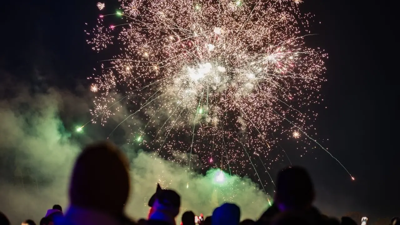 Fireworks exploding in the night sky above a crowd of people watching.