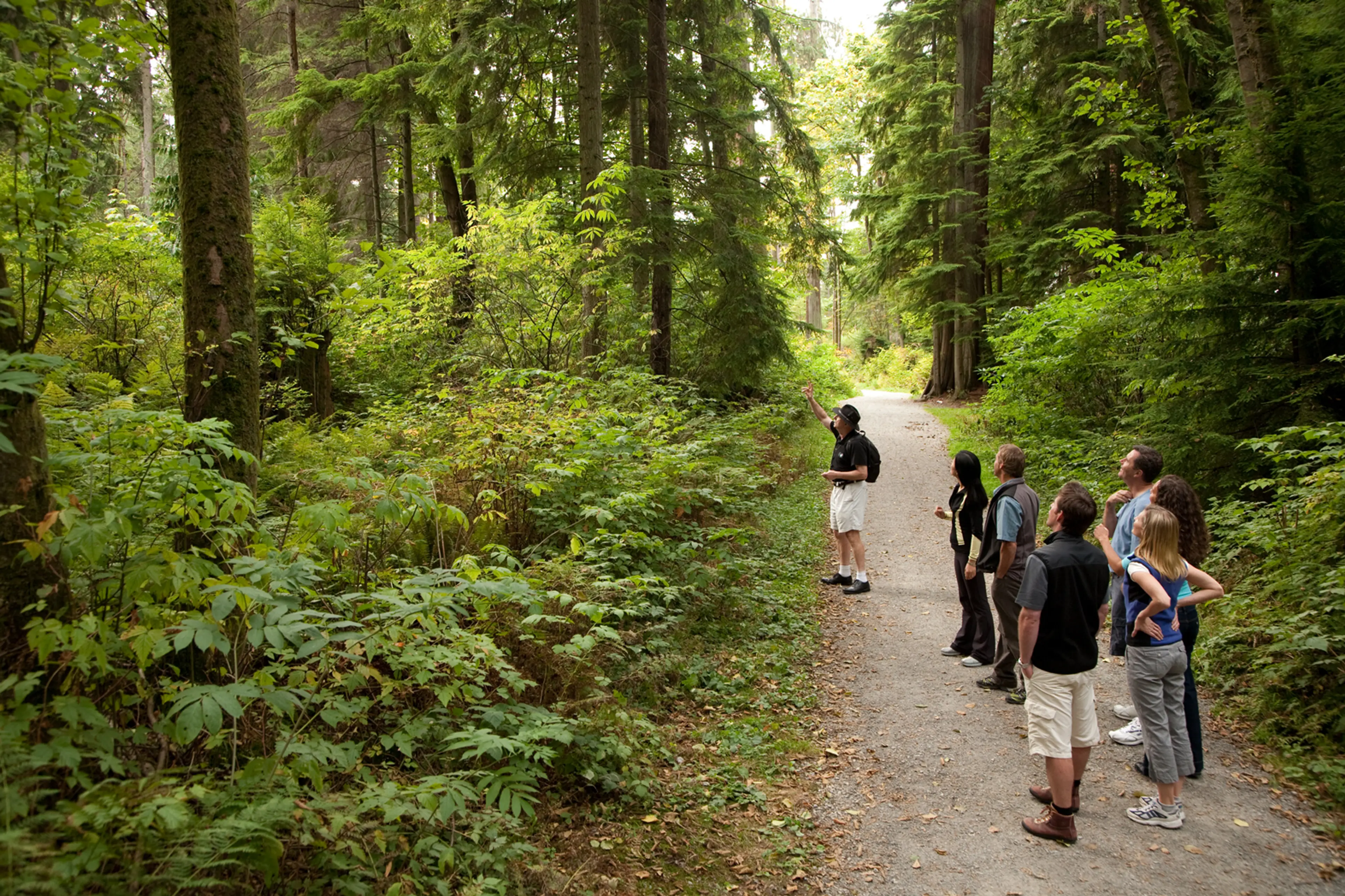 Exploring nature in Vancouver's Stanley Park