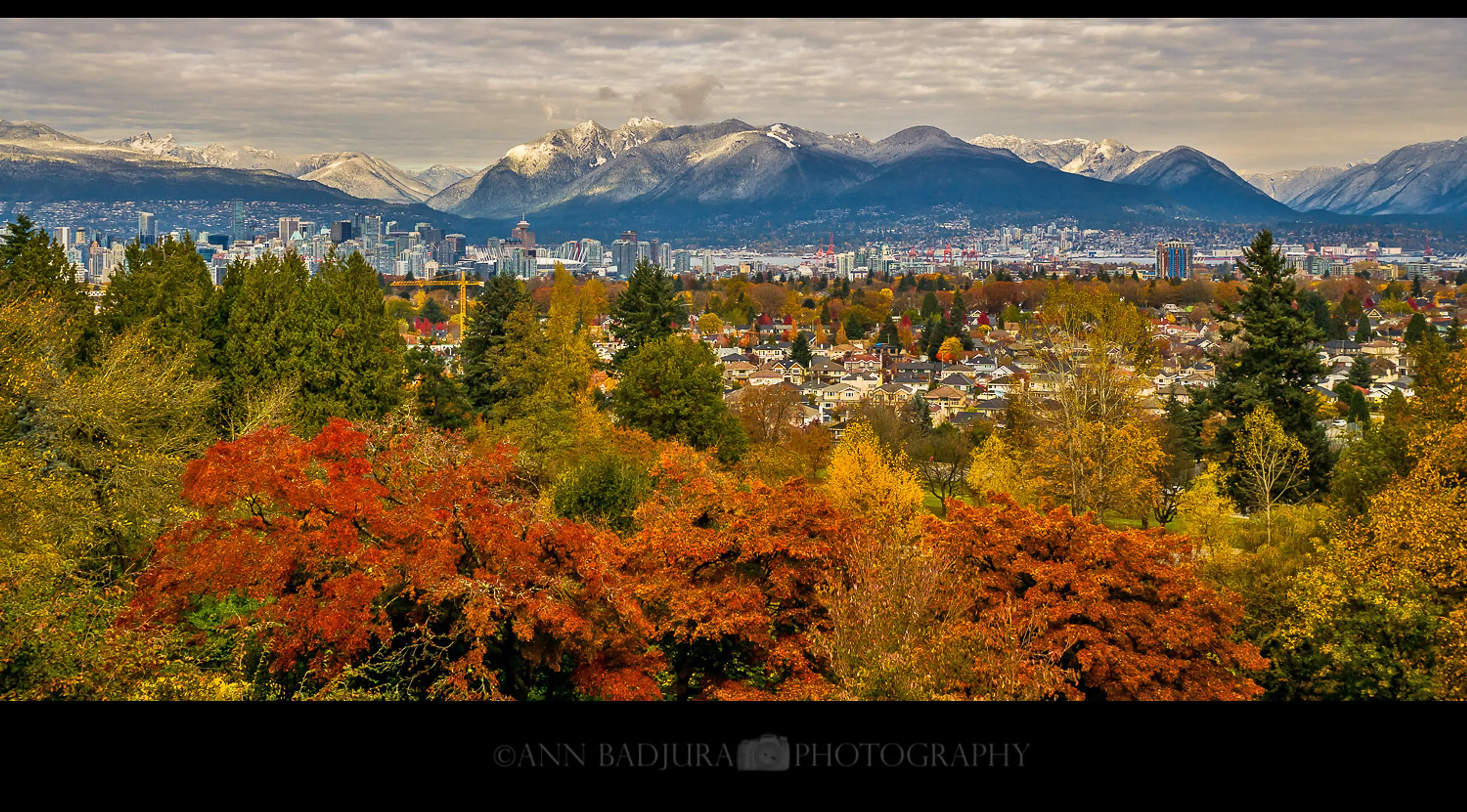 The view of Vancouver in fall from Queen Elizabeth Park
