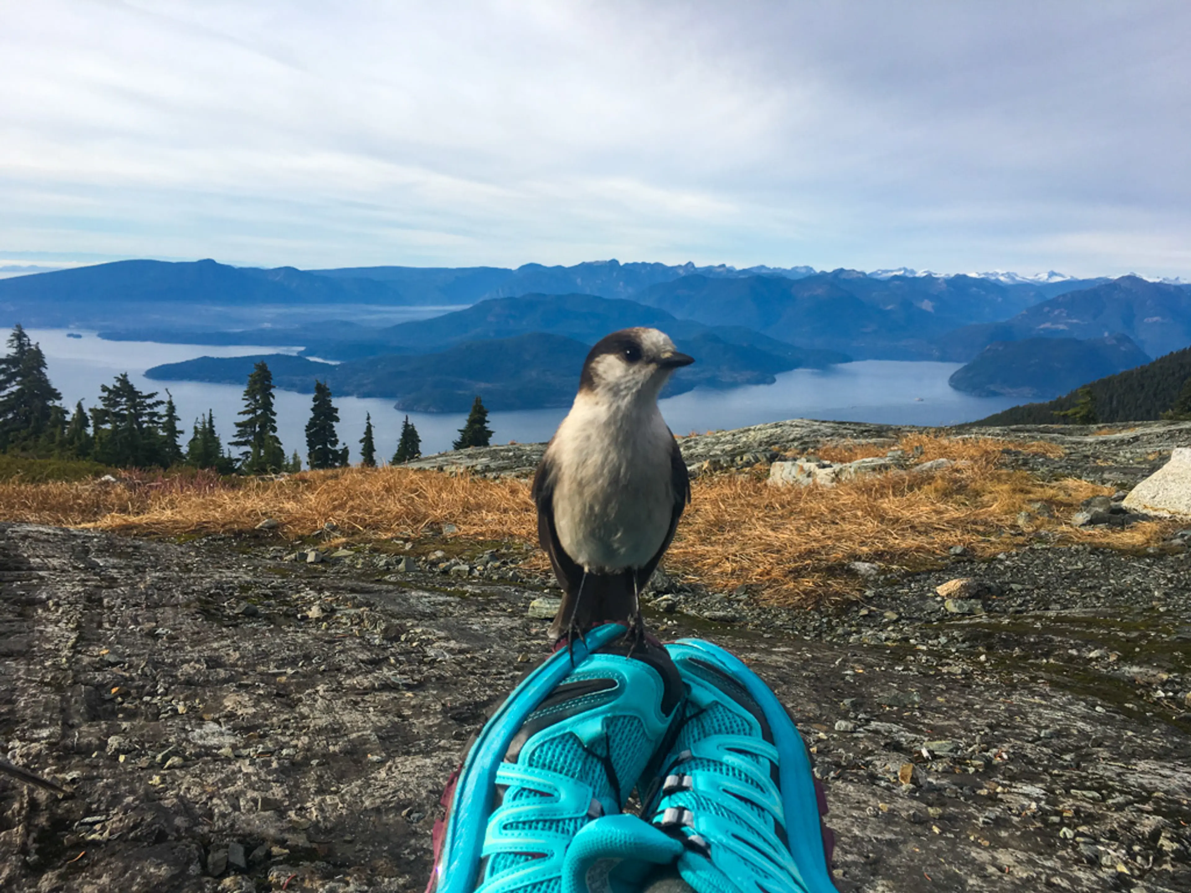 September’s Vancouver Hike of the Month: Mount Strachan
