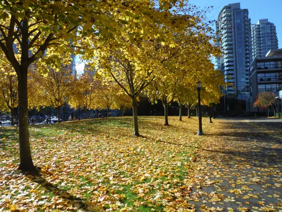 cycle-bc-parkway-discover-the-outdoors1