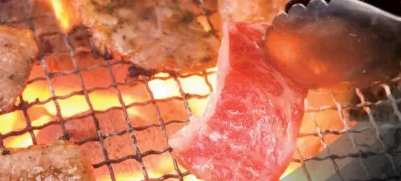 Gyu-Kaku Japanese BBQ