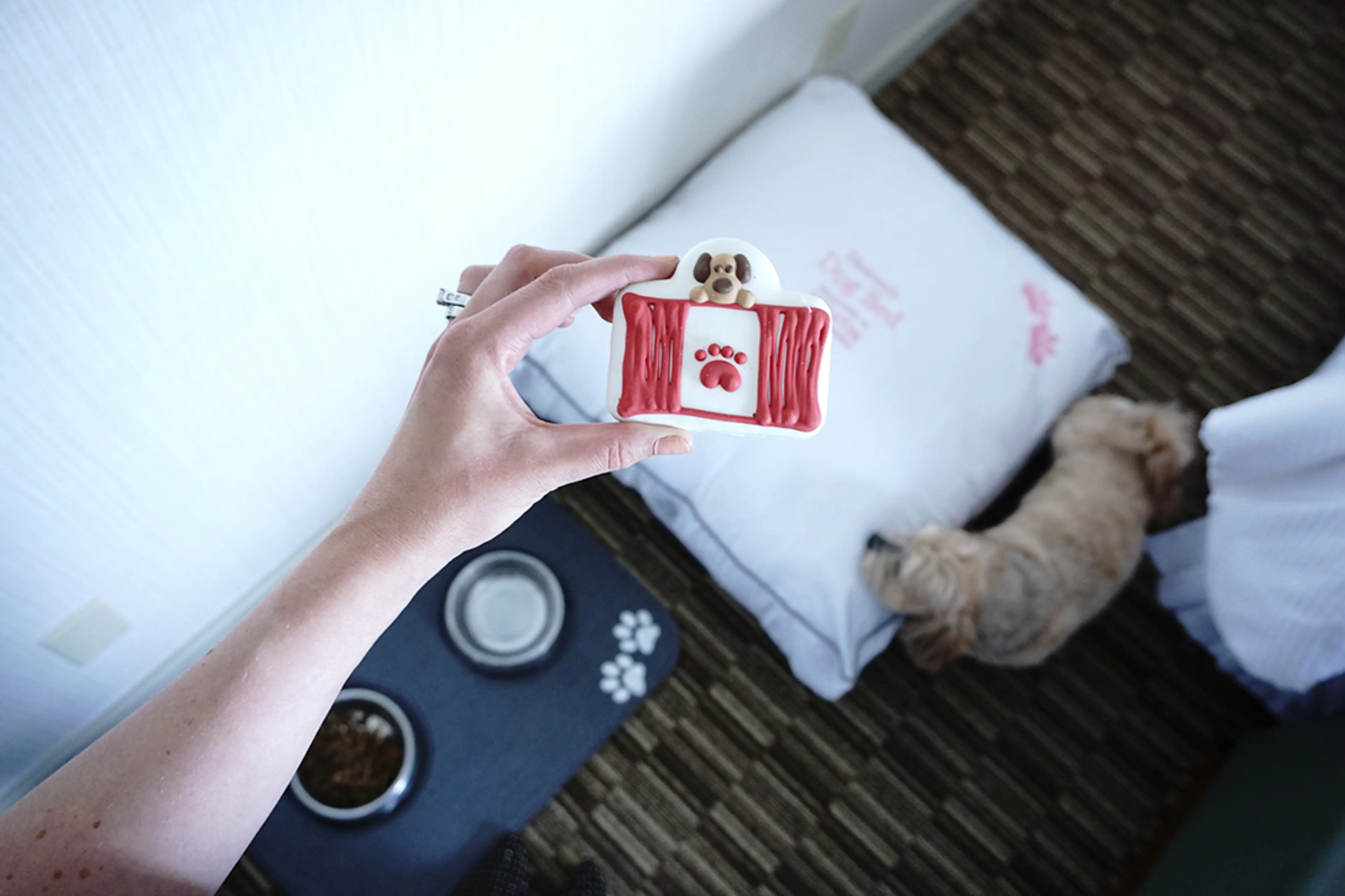 dog friendly Vancouver hotel