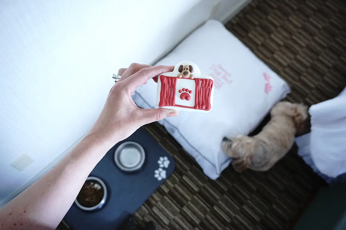 dog friendly Vancouver hotel