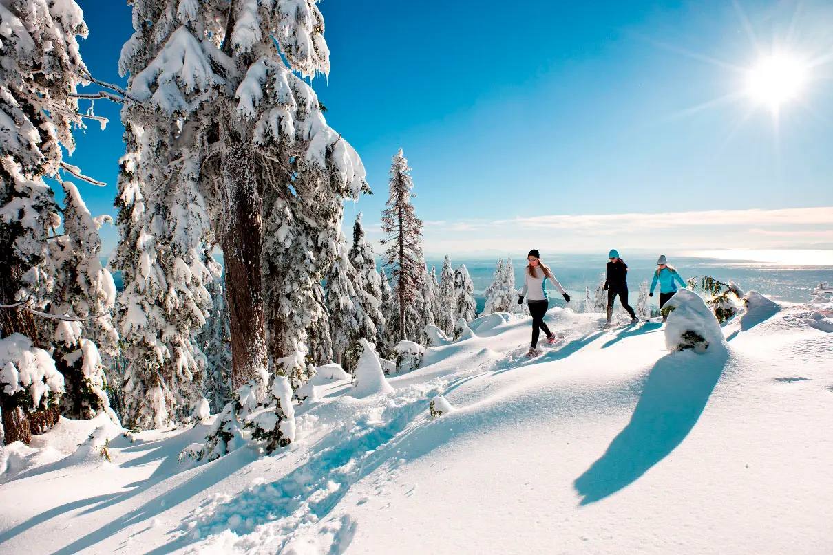 Snowshoe Grind Grouse Mountain Vancouver