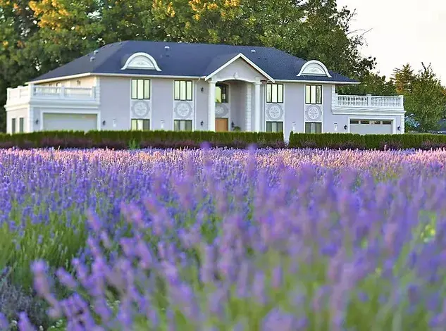 Lavenderland in Richmond near Vancouver