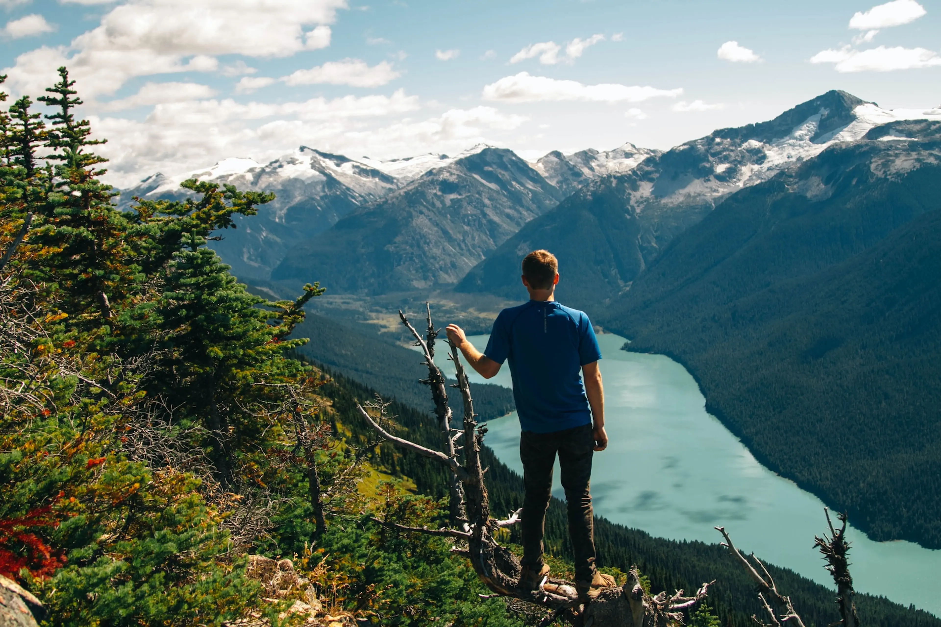 View from the High Note Trail in Whistler