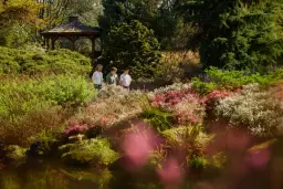 Vancouver Parks & Gardens