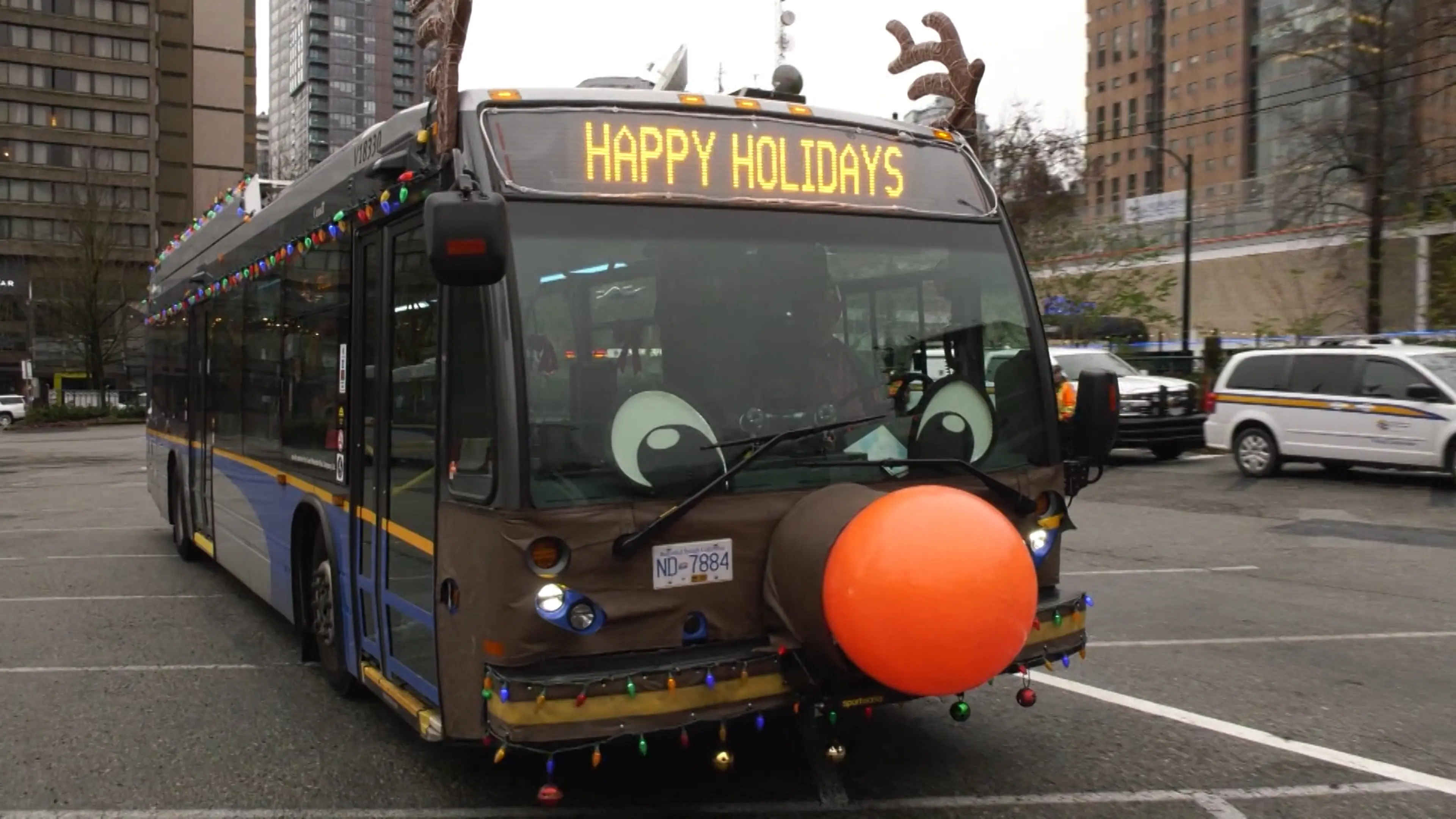 Translink reindeer bus