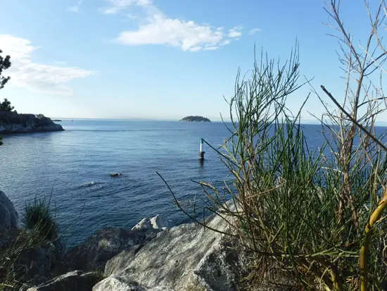 Waiting for Winter at Whytecliff Park, West Vancouver