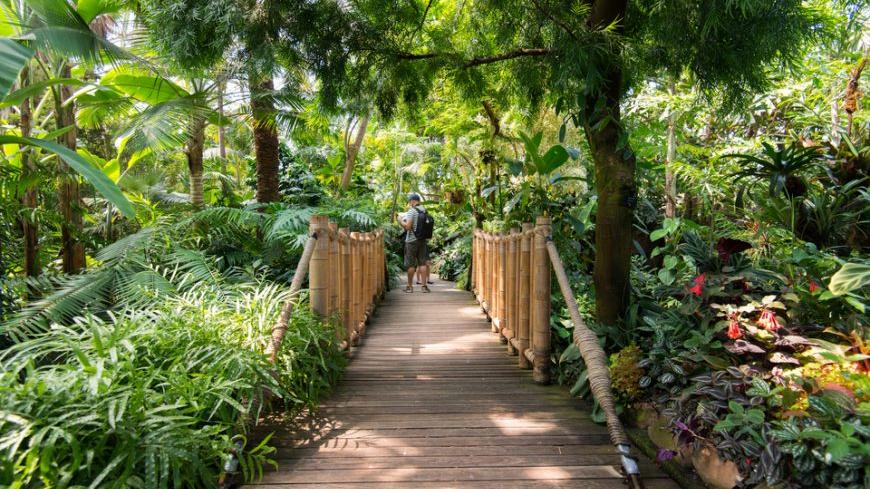 Travel the World at These Vancouver Attractions