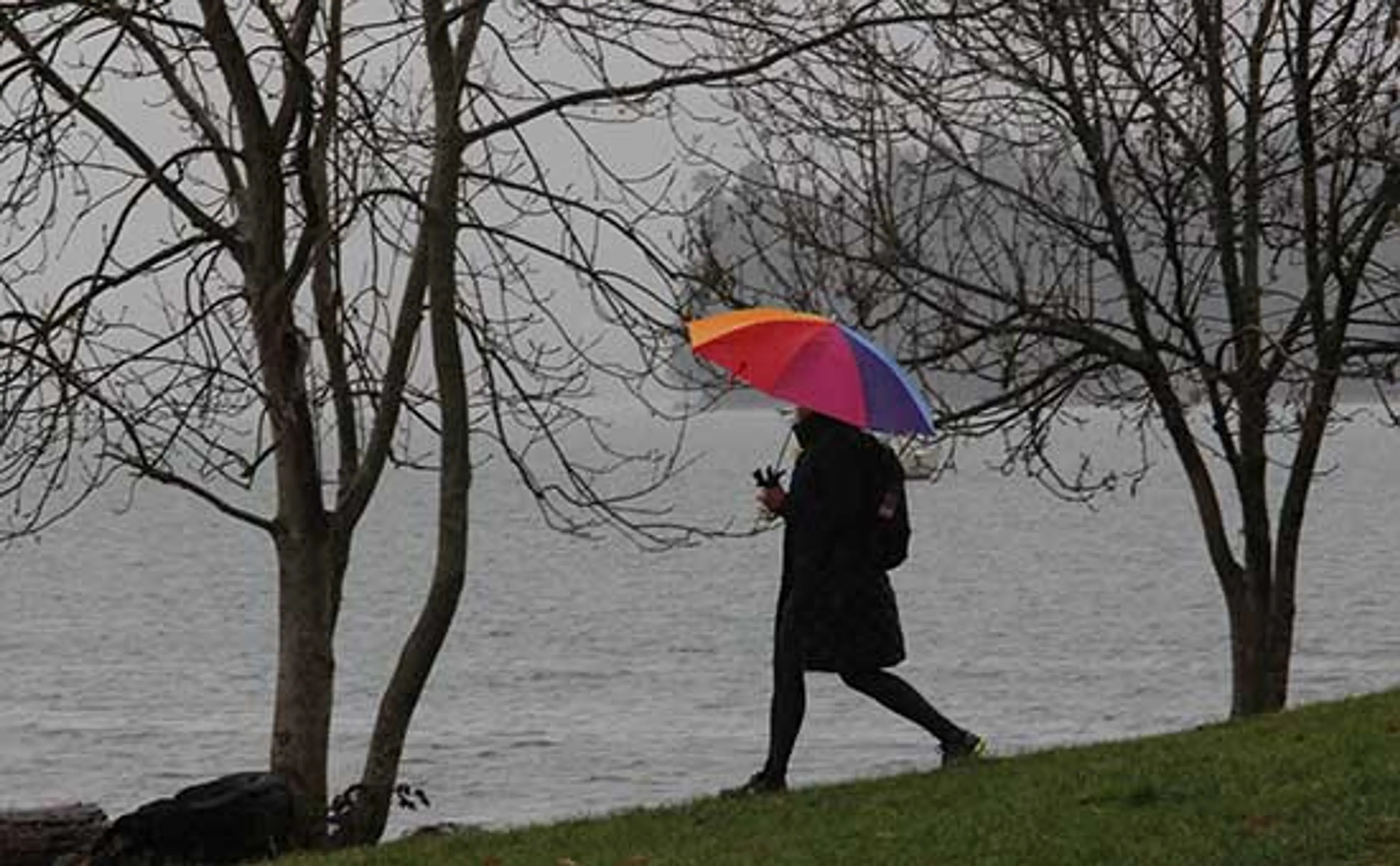 Discover-Outdoors-Umbrellas-at-Kits4