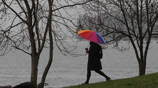 Discover-Outdoors-Umbrellas-at-Kits4