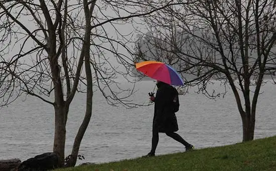 Discover-Outdoors-Umbrellas-at-Kits4