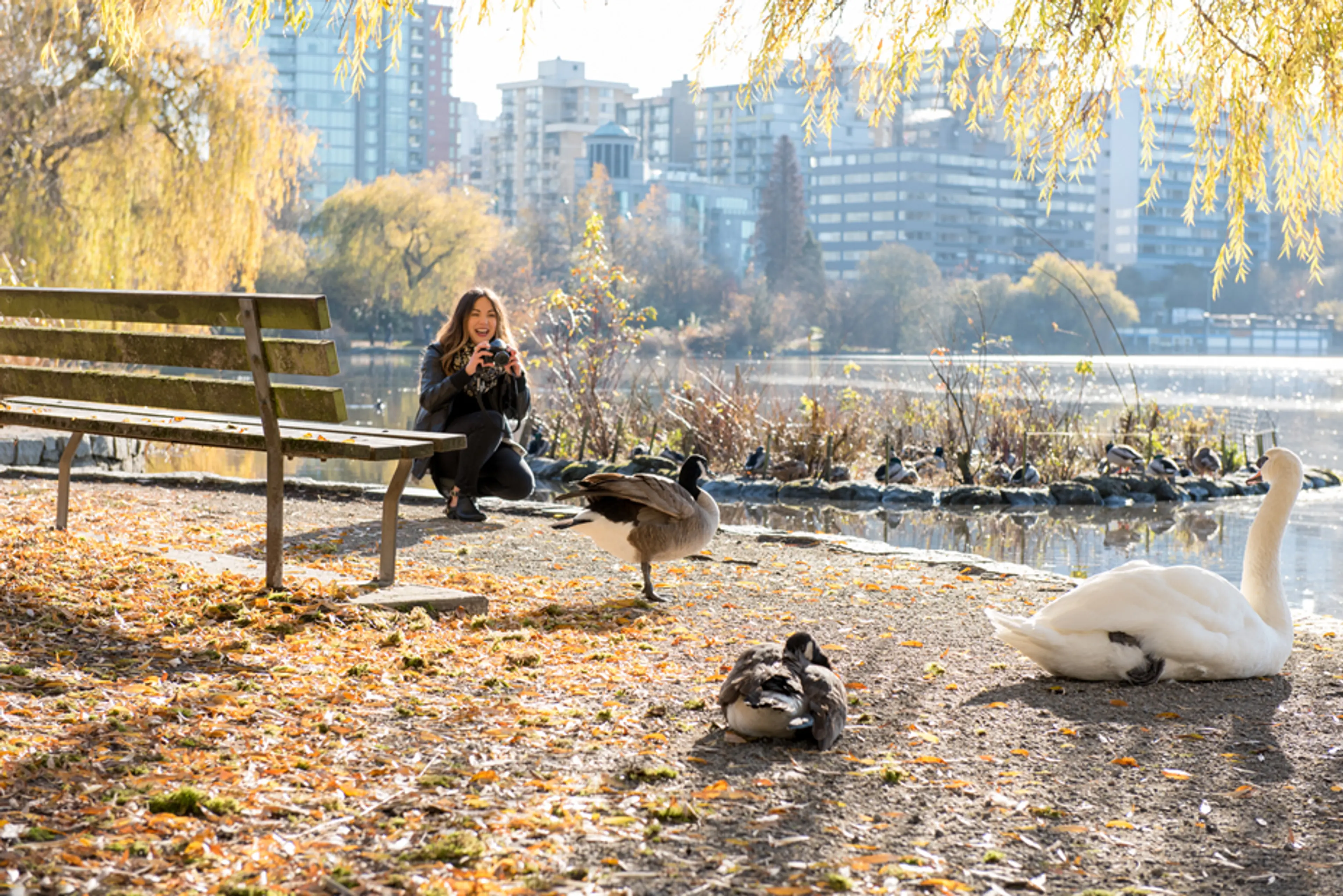 Best Places to Spot Wildlife Near Vancouver