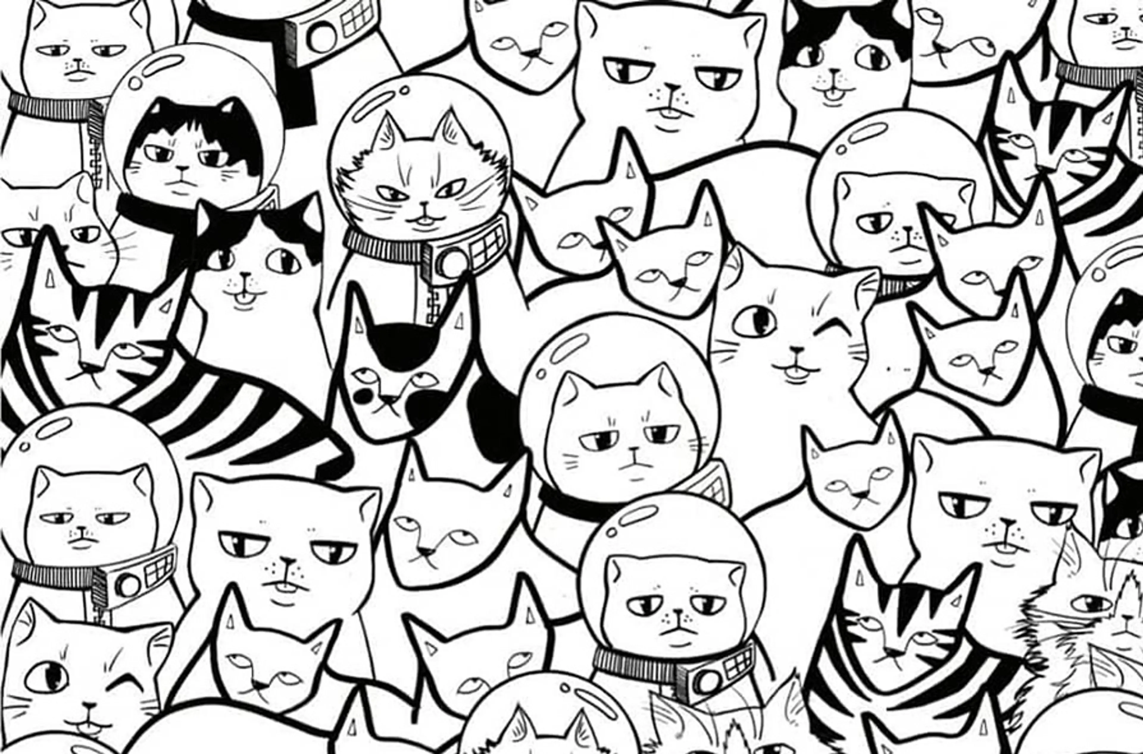 It’s a feline revolution: where to get your fill of cats in Vancouver this week
