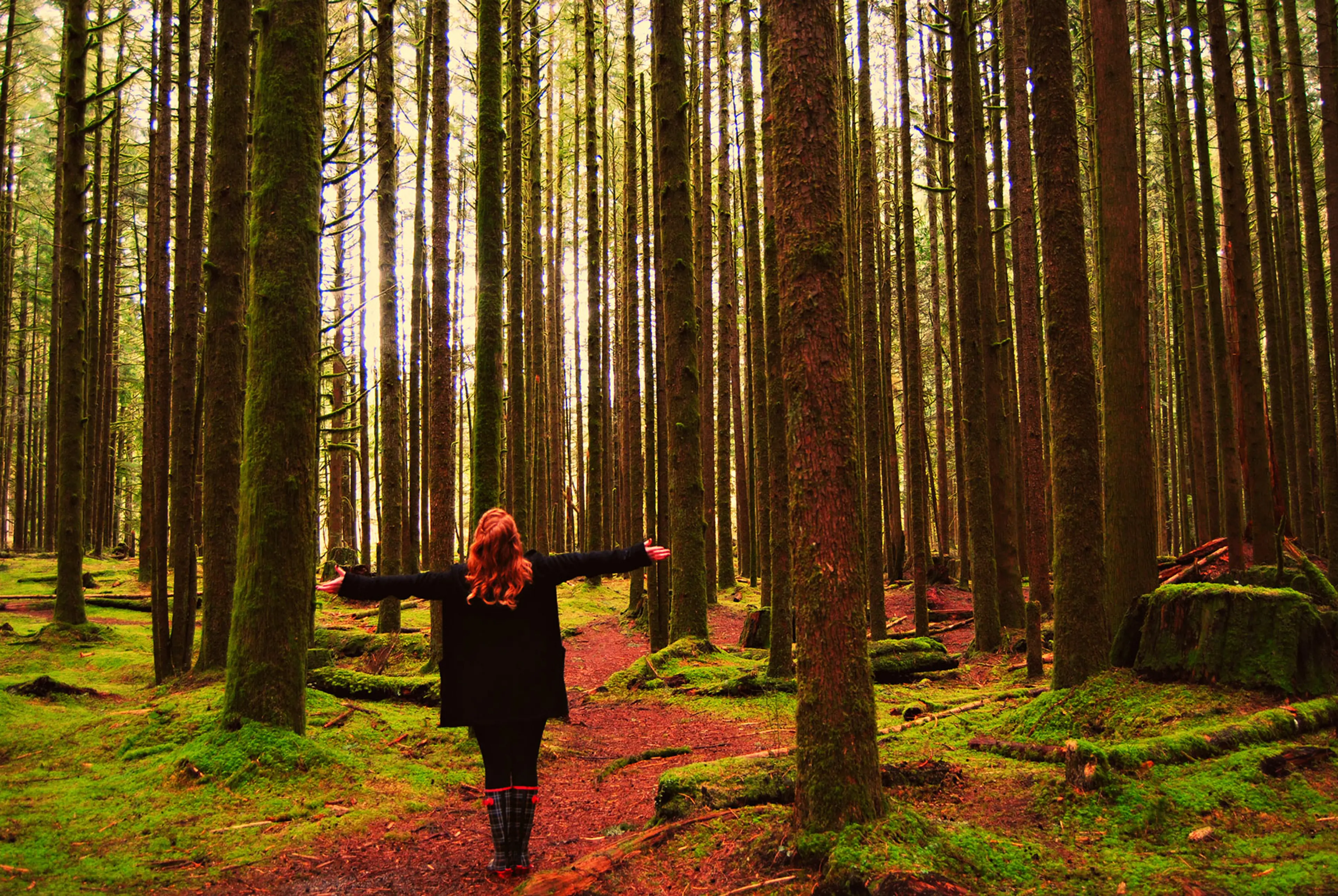 Maple Ridge