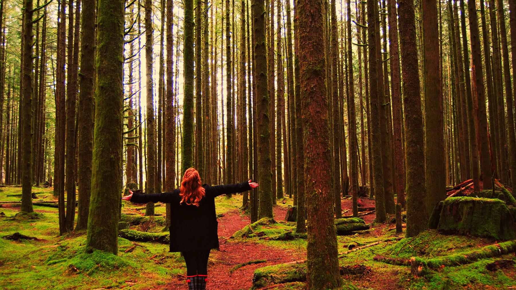Maple Ridge