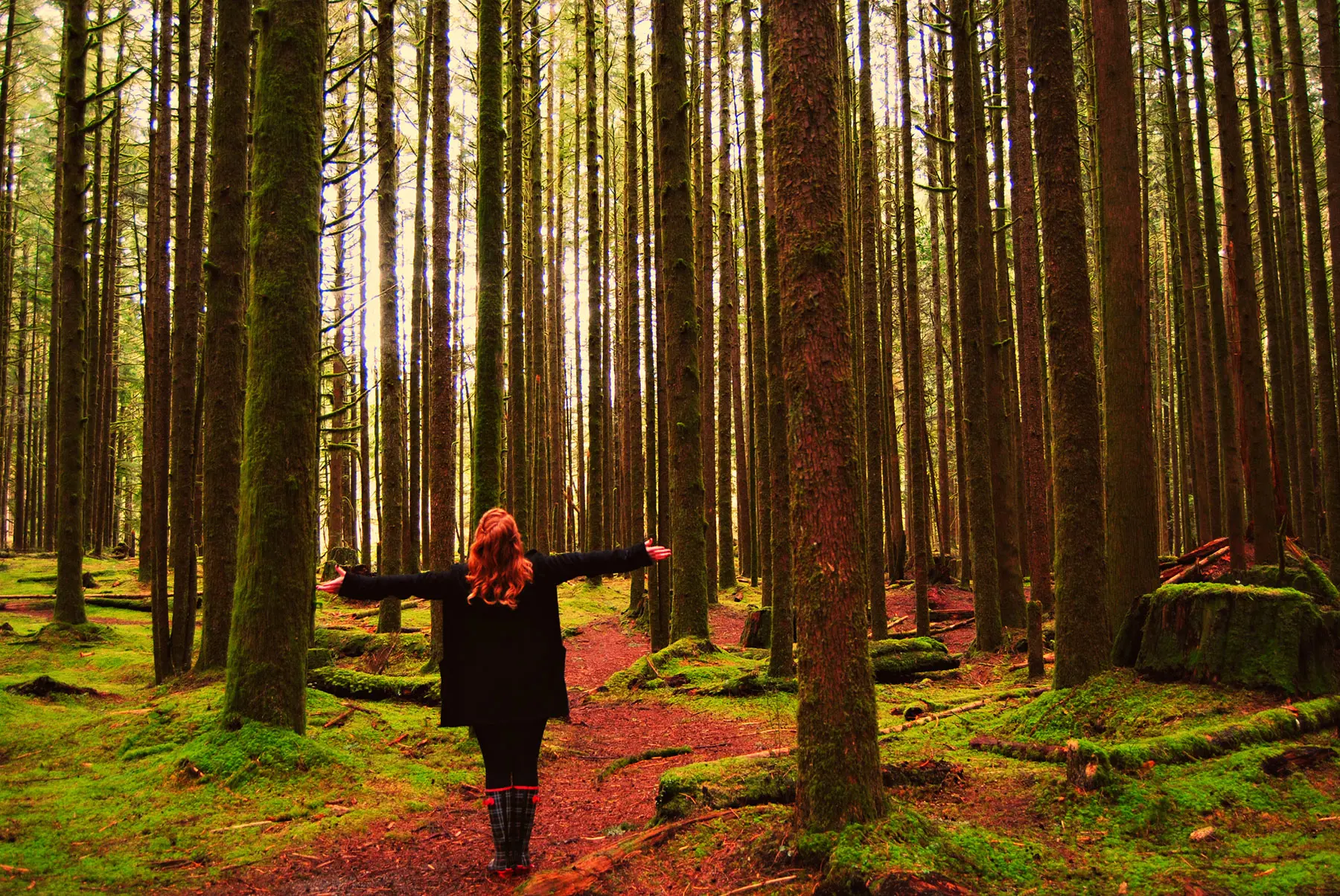 Maple Ridge