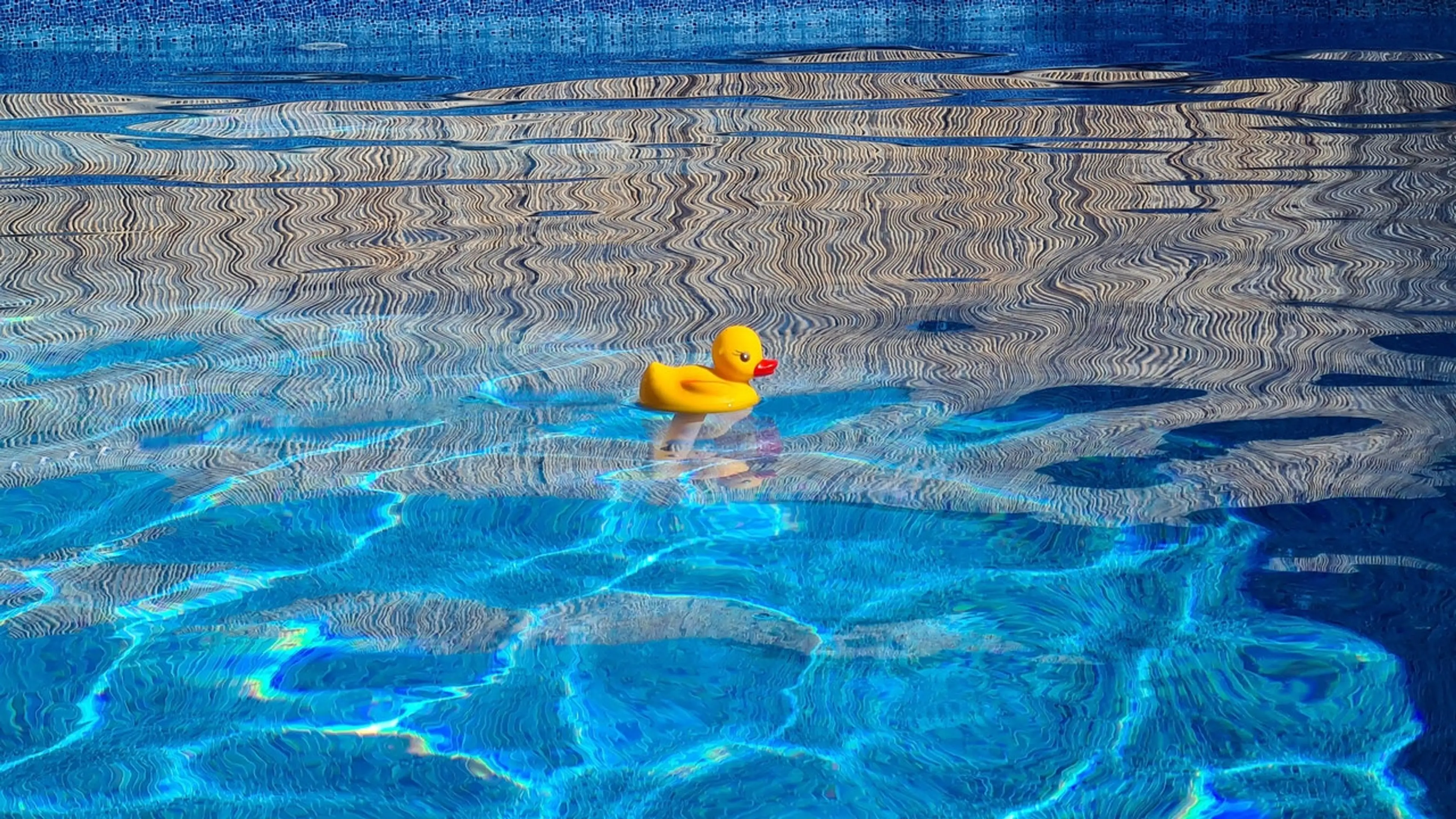 Where to Find Vancouver Area Wading Pools For Families