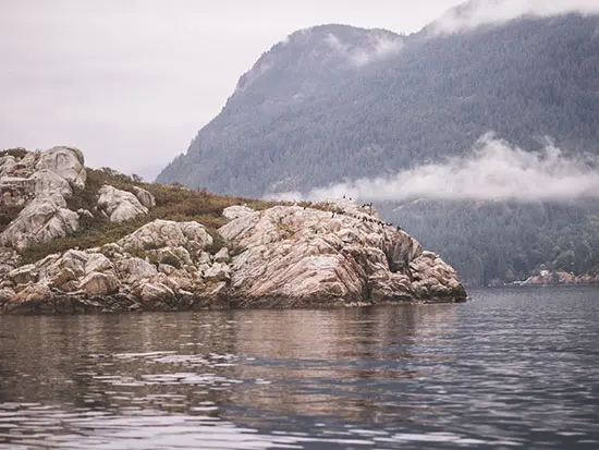 Serving Up Vancouver Lightly Chilled…