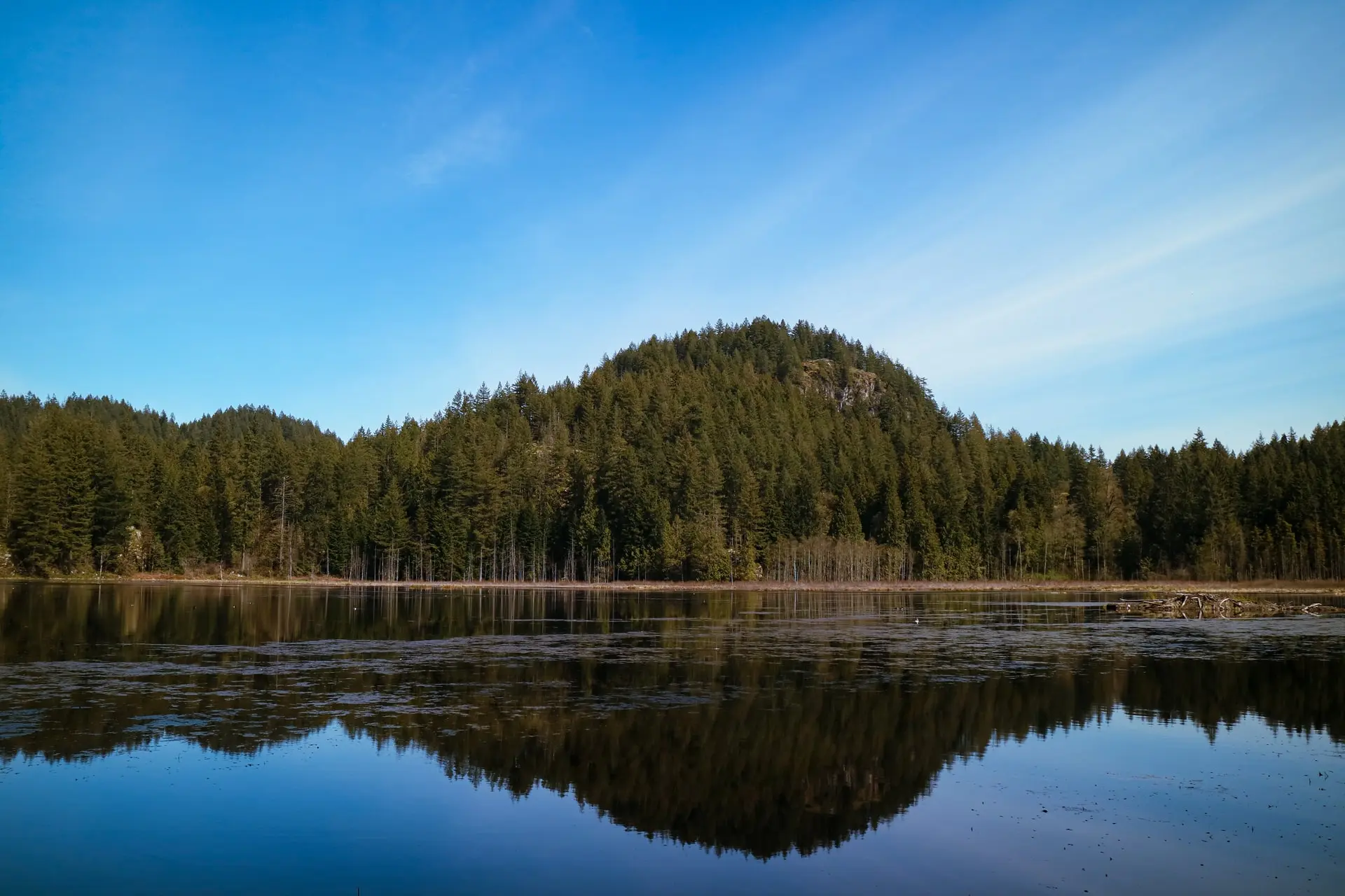 January’s Vancouver Hike of the Month: Minnekhada Loop