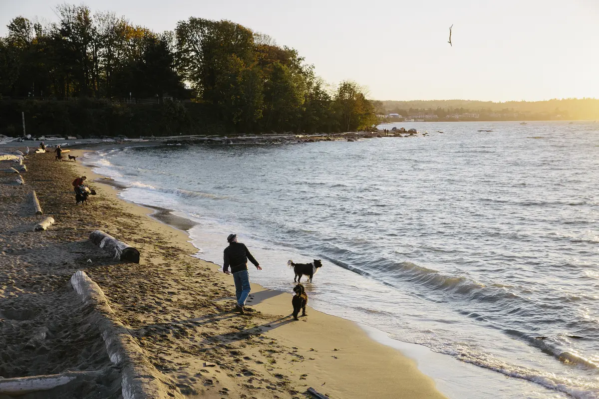 A man throws a stick for his dog at Hadden Park in Vancouver
