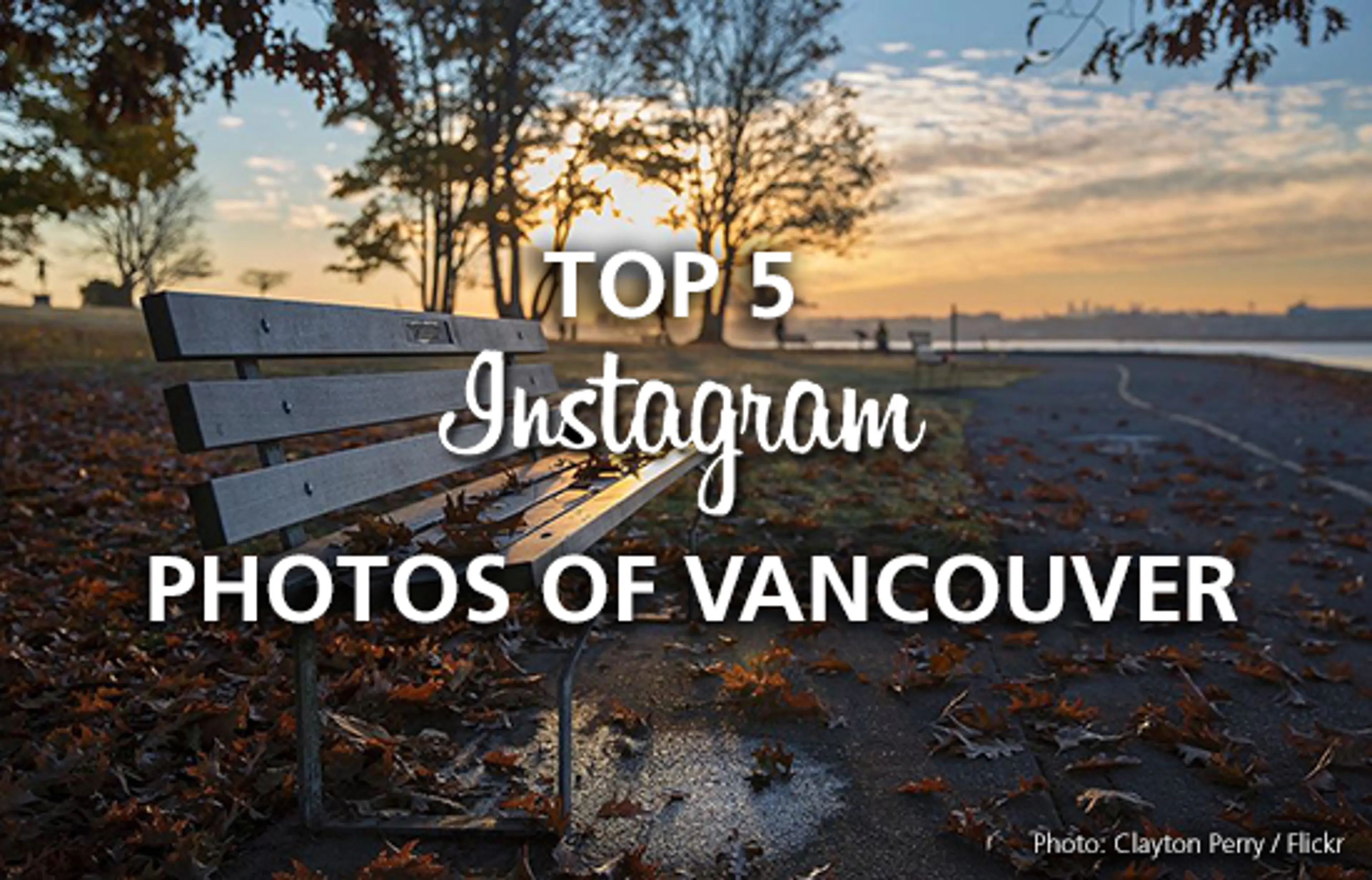 This Week’s Top 5 Instagram Photos of Vancouver – November 10, 2017