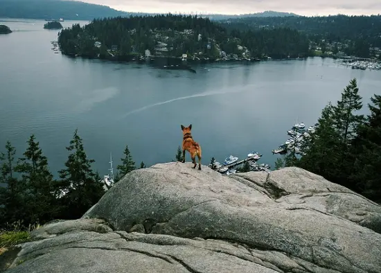 photo: @truthandtrail