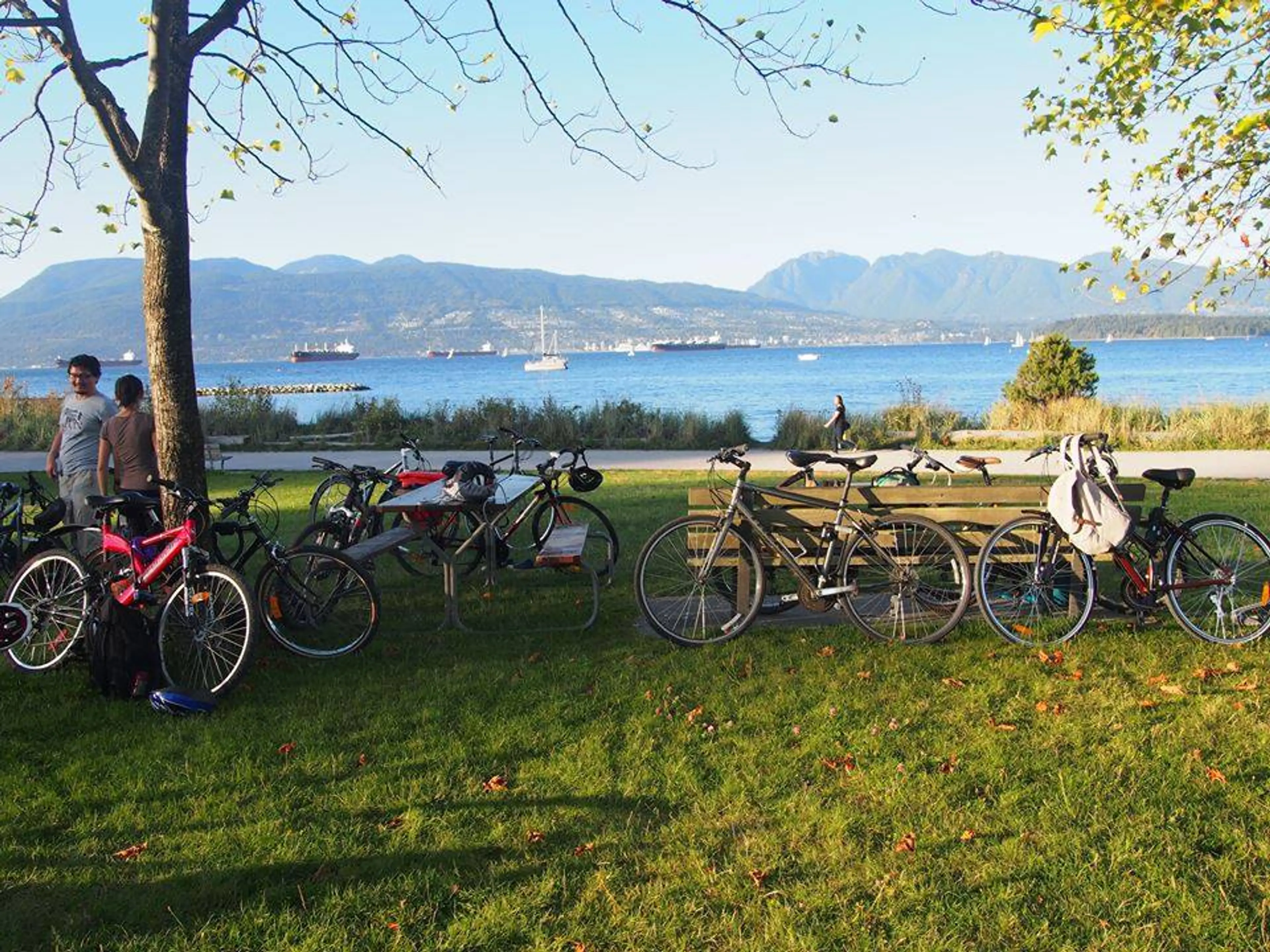 Bicycle Beach Crawl